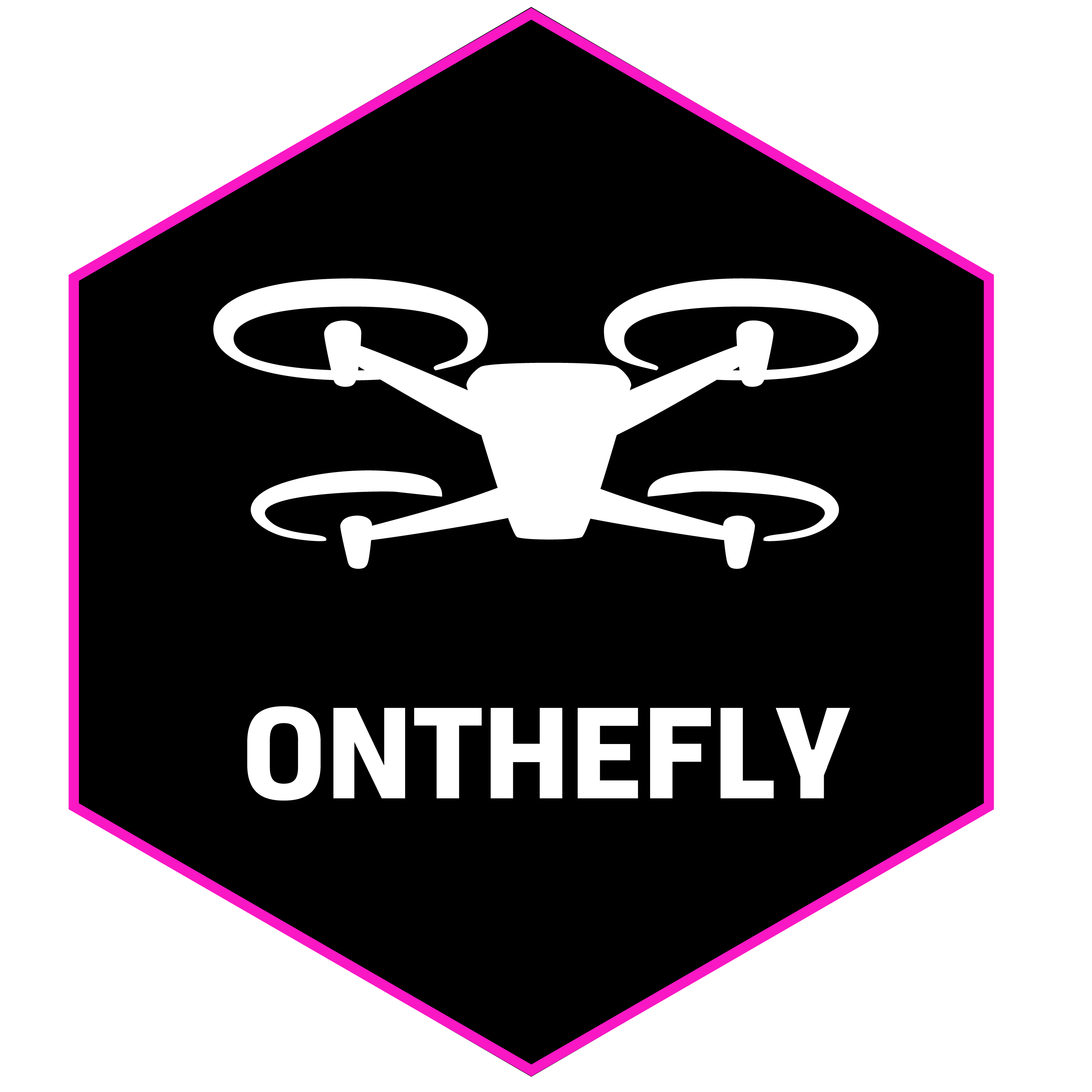 ON THE FLY - unveiling the future of flight
