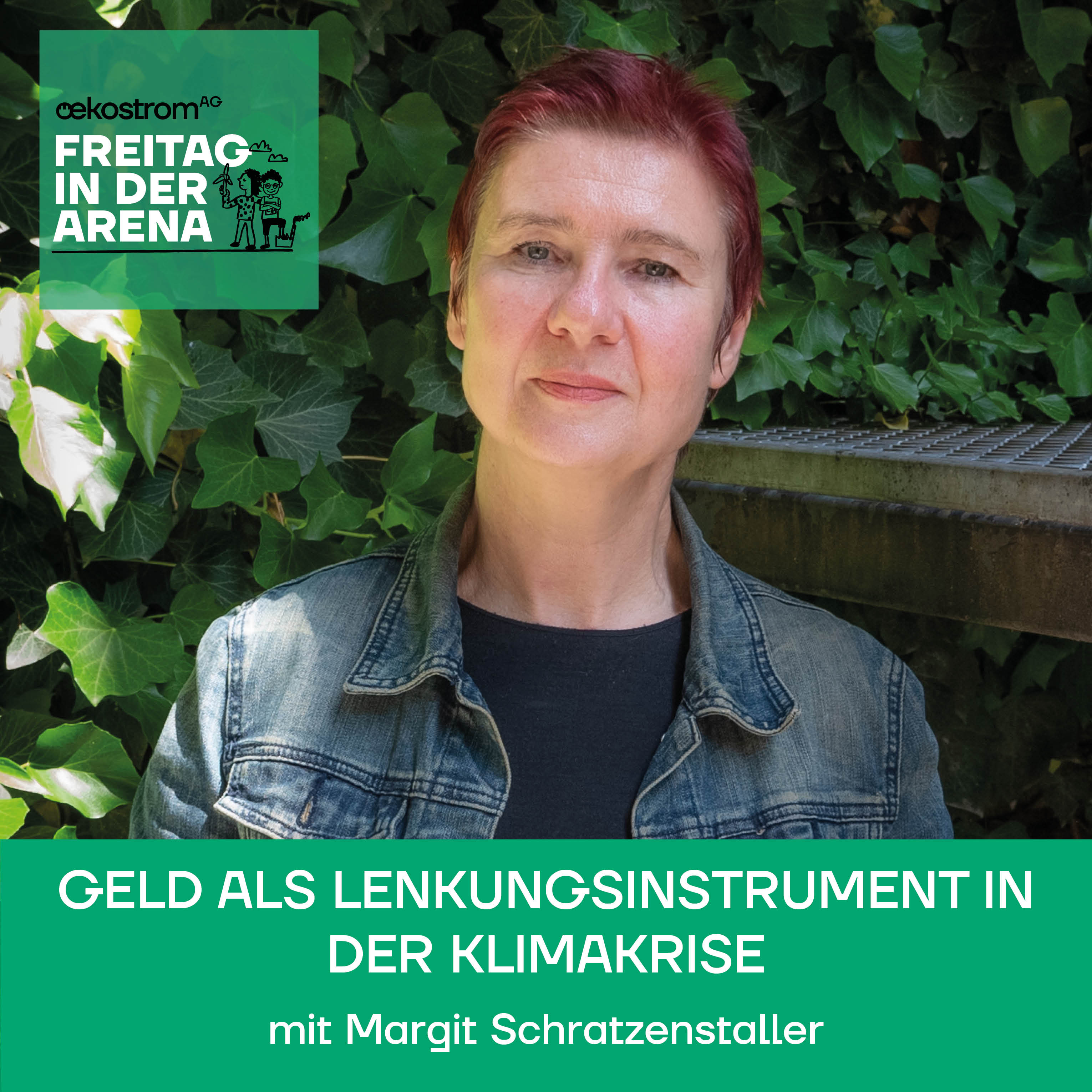 Freitag in der Arena - der oekostrom AG-Talk