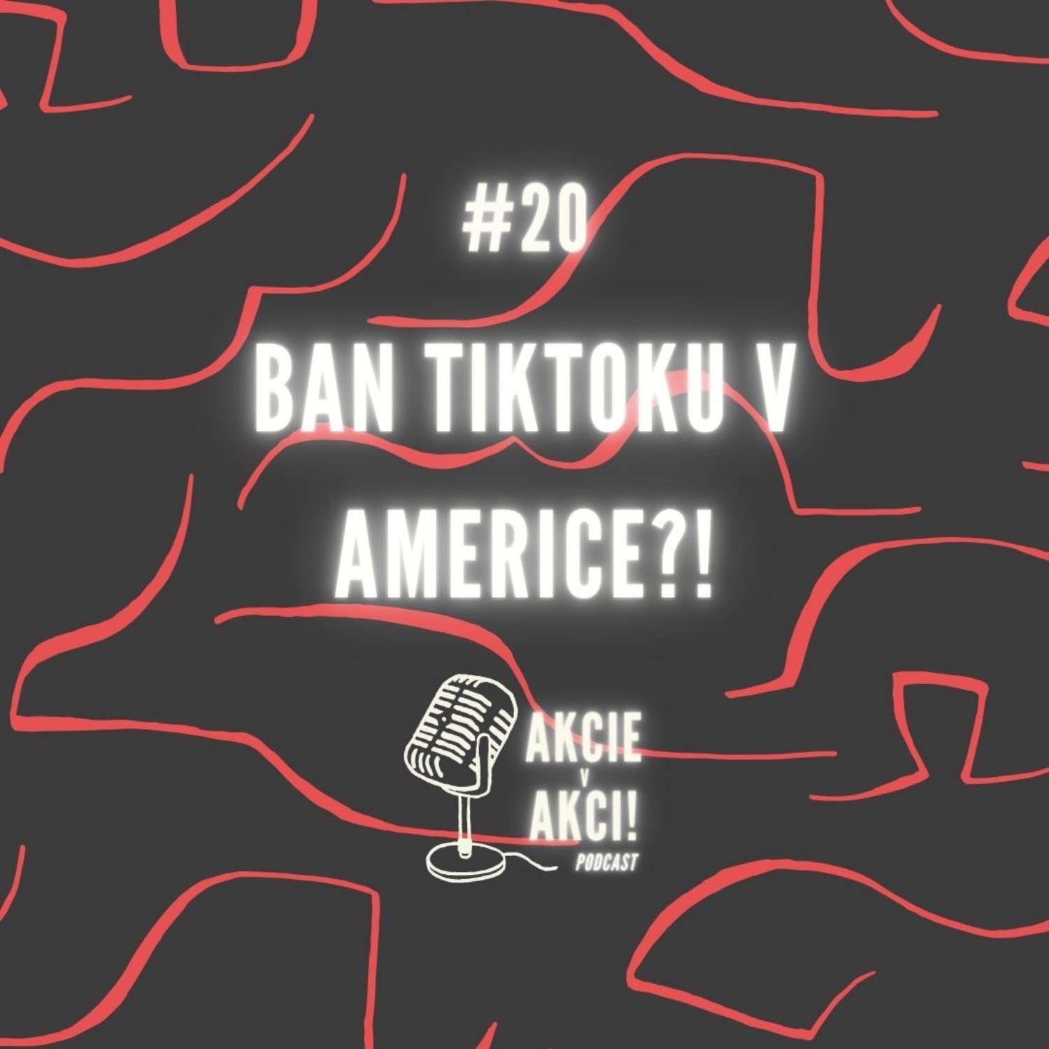 #20 BAN TIKTOKU V AMERICE?!