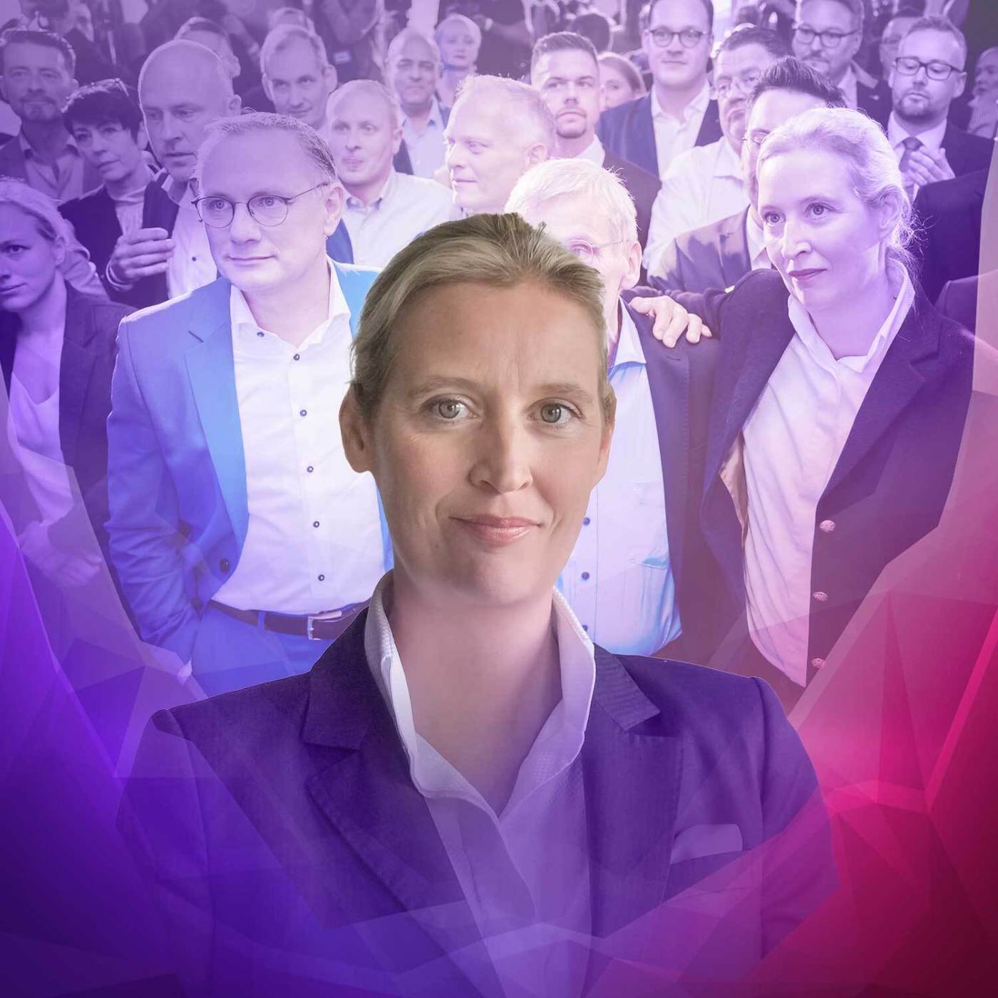 Müssen Sie mehr in die Mitte, Alice Weidel?