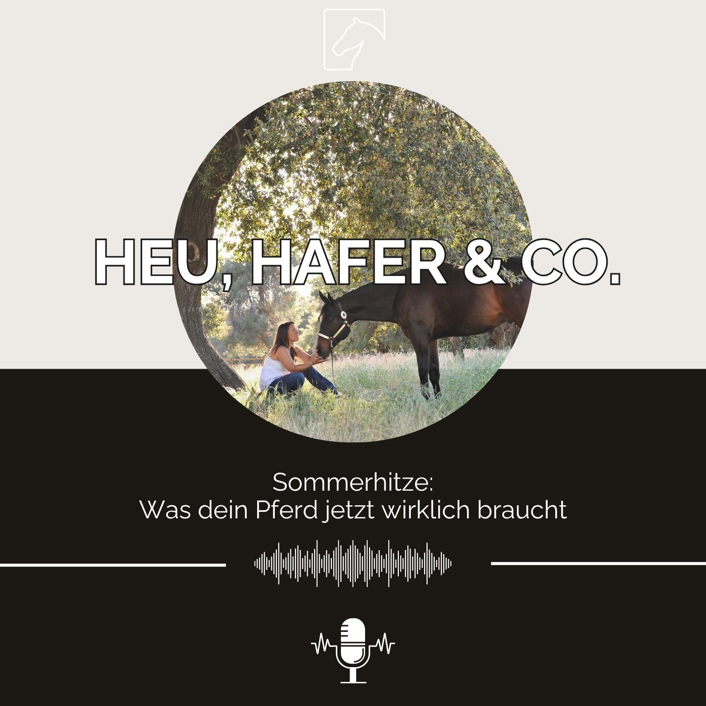Heu, Hafer & Co: Der Pferdefutter-Podcast