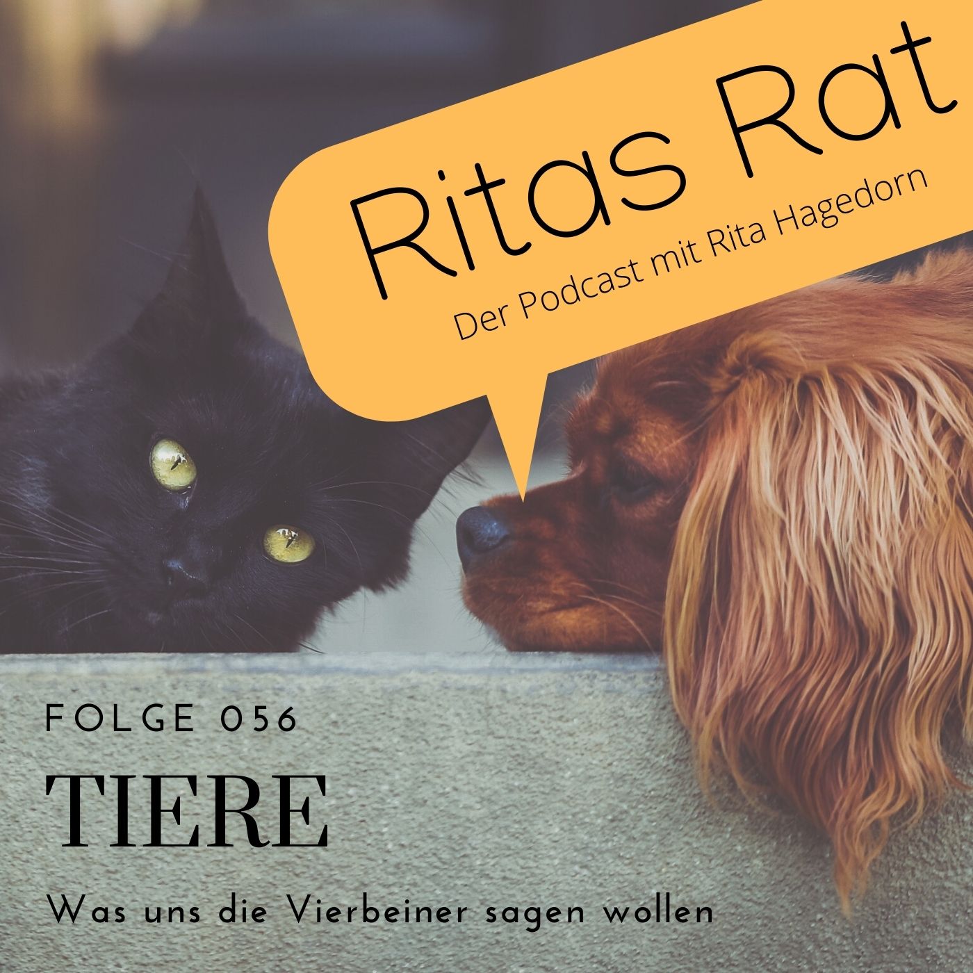 Ritas Rat