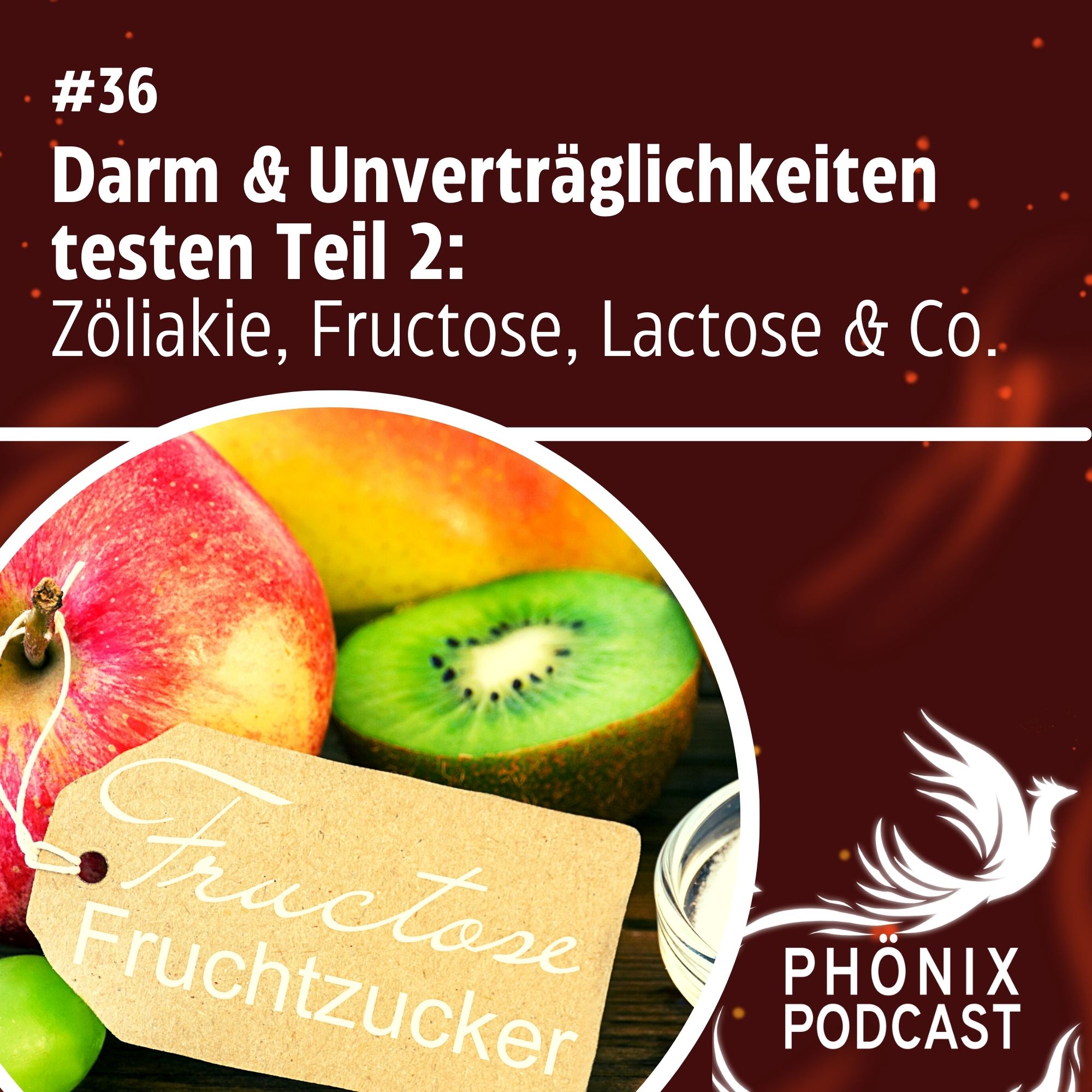 Darm & Unverträglichkeiten Tests 2: Zöliakie, Fructose, Lactose & Co #36 - podcast episode cover