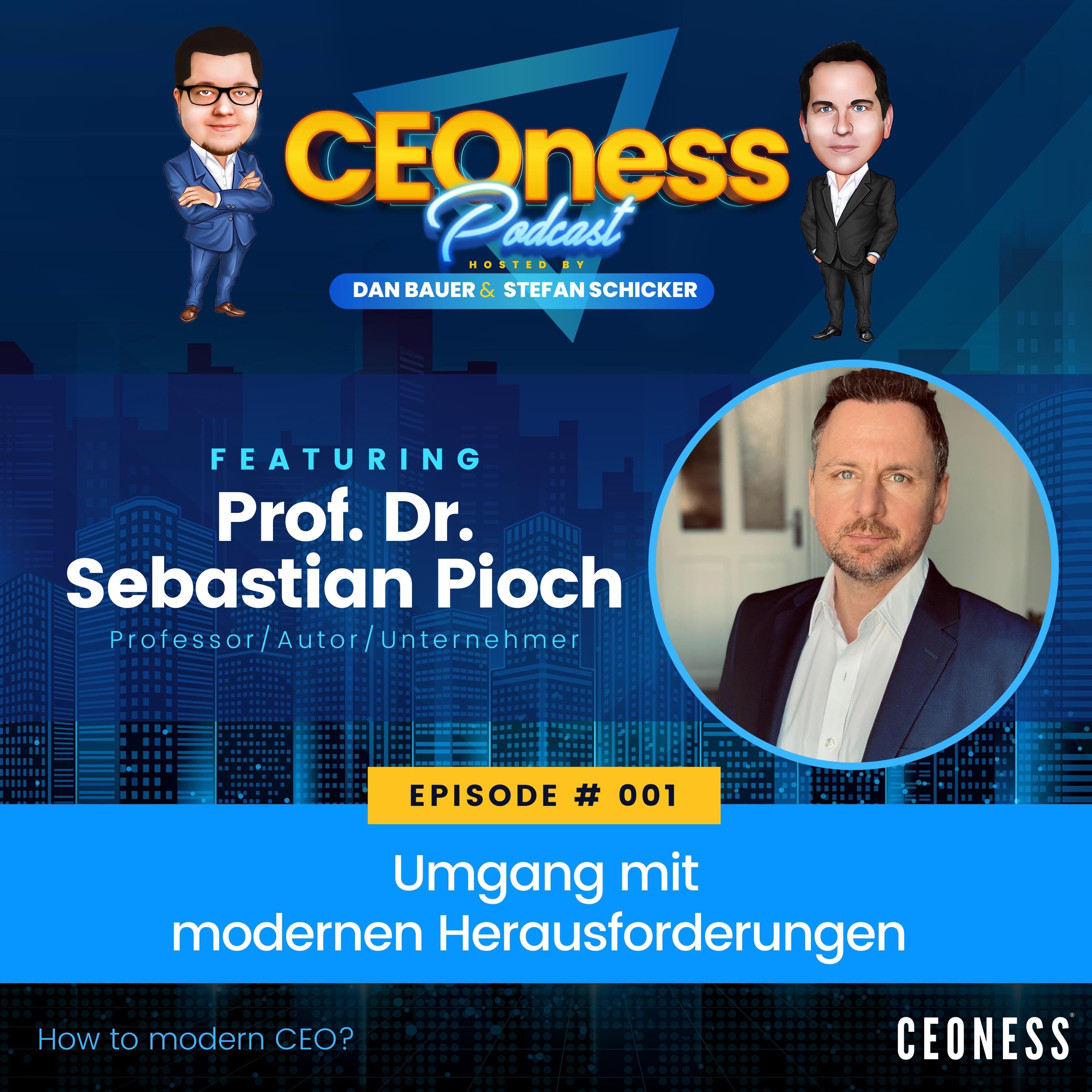 CEOness - How to modern CEO? (DE)