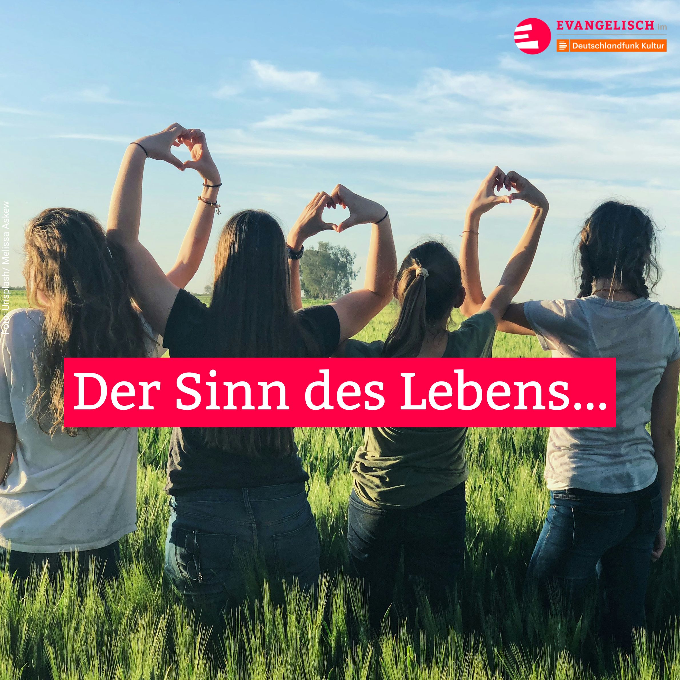 Der Sinn des Lebens...
