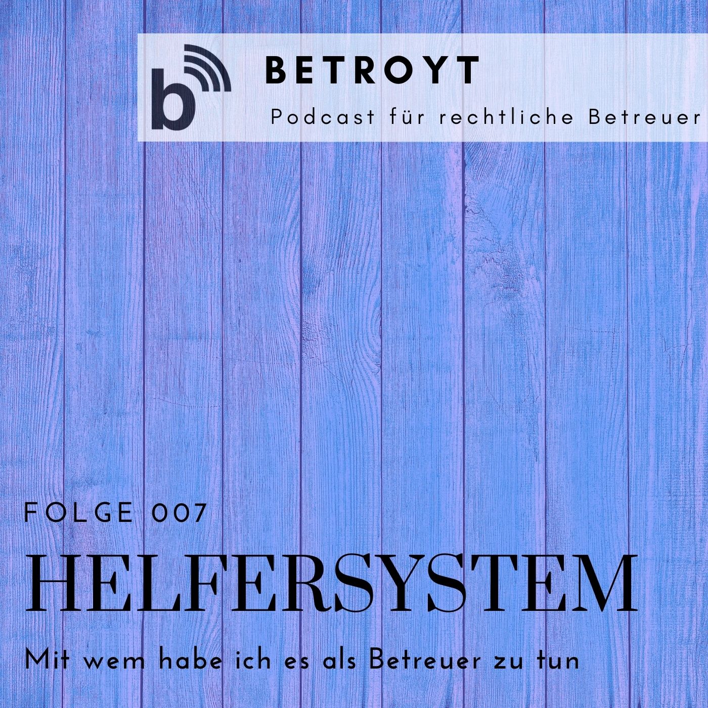 Folge 007 Helfersystem - Mit wem Sie als Betreuer zu tun haben