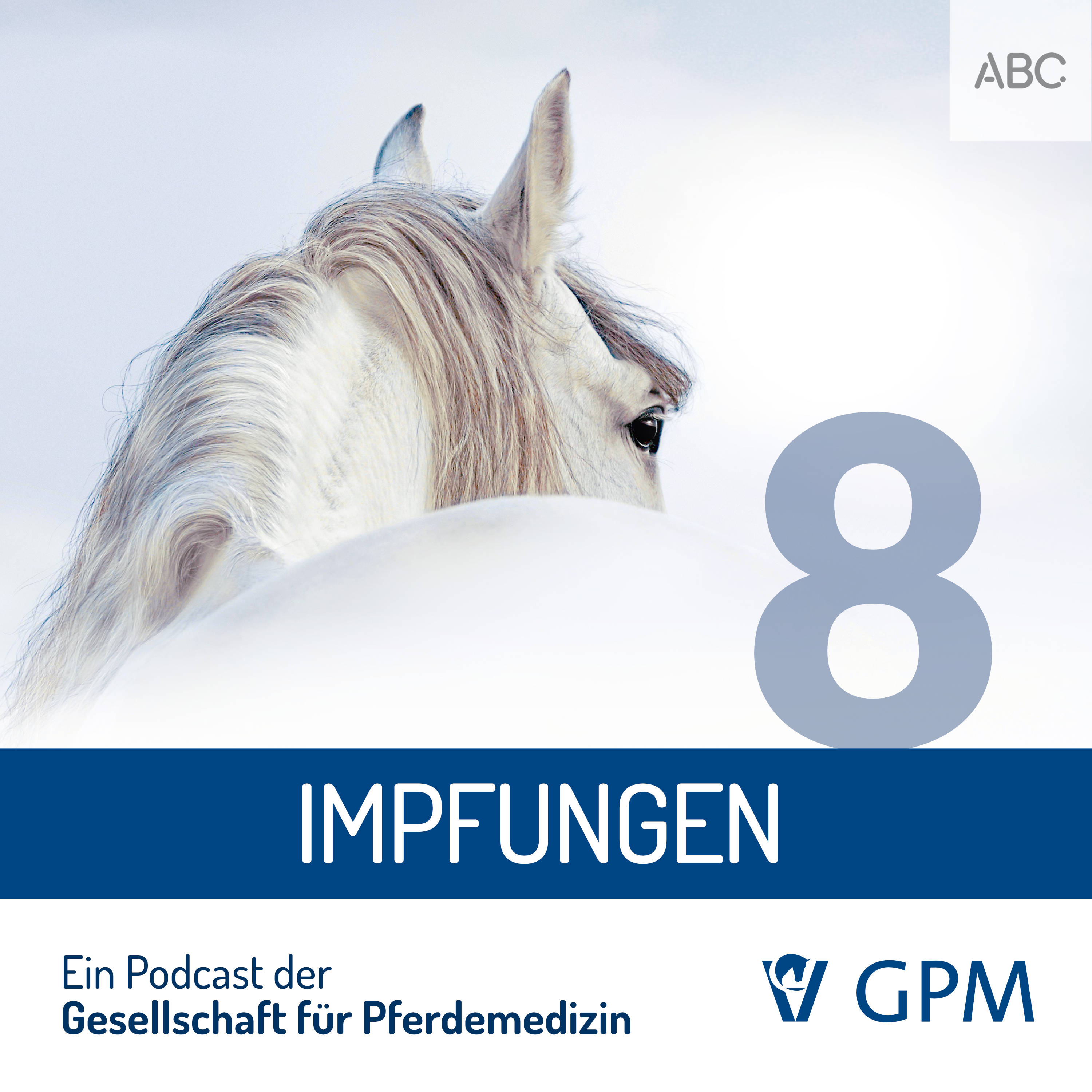 Pferdemedizin heute