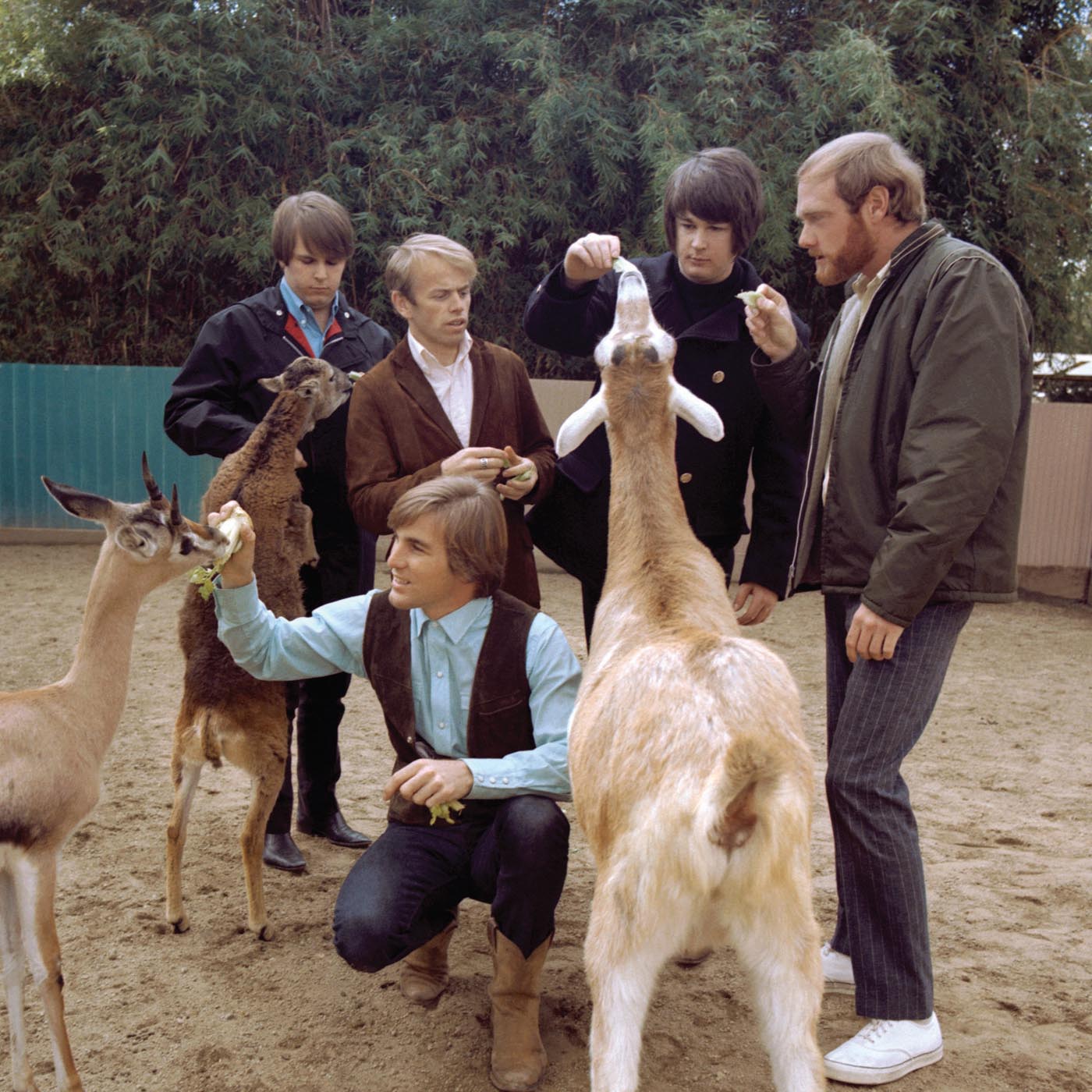The Beach Boys – God Only Knows episode artwork