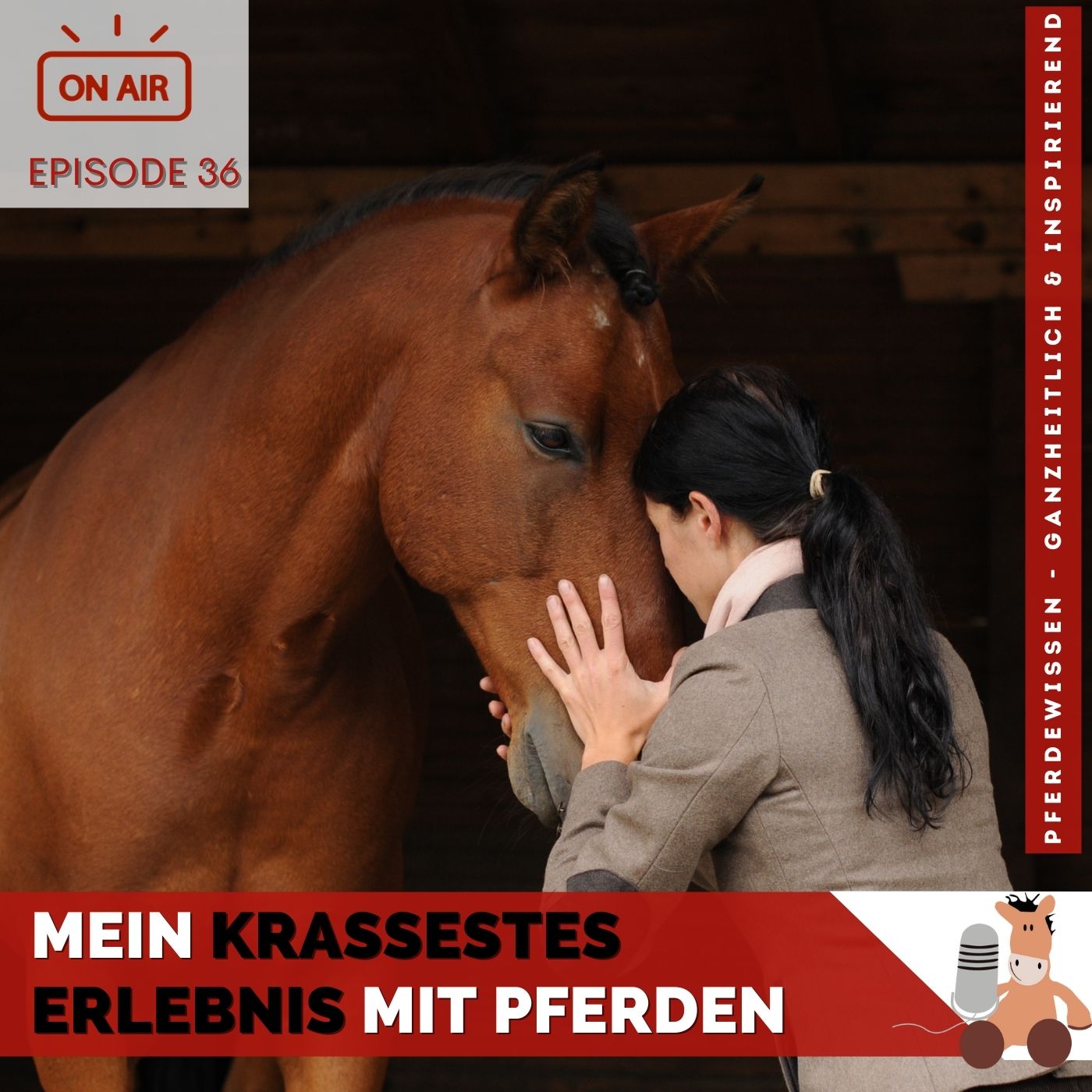 Pferdewissen - ganzheitlich & inspirierend mit Sandra Fencl