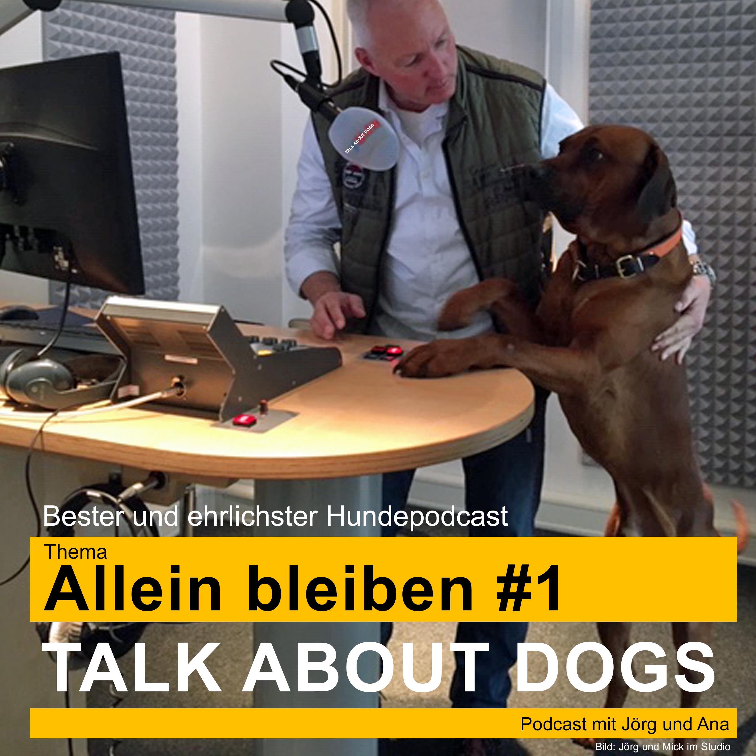 TALK ABOUT DOGS