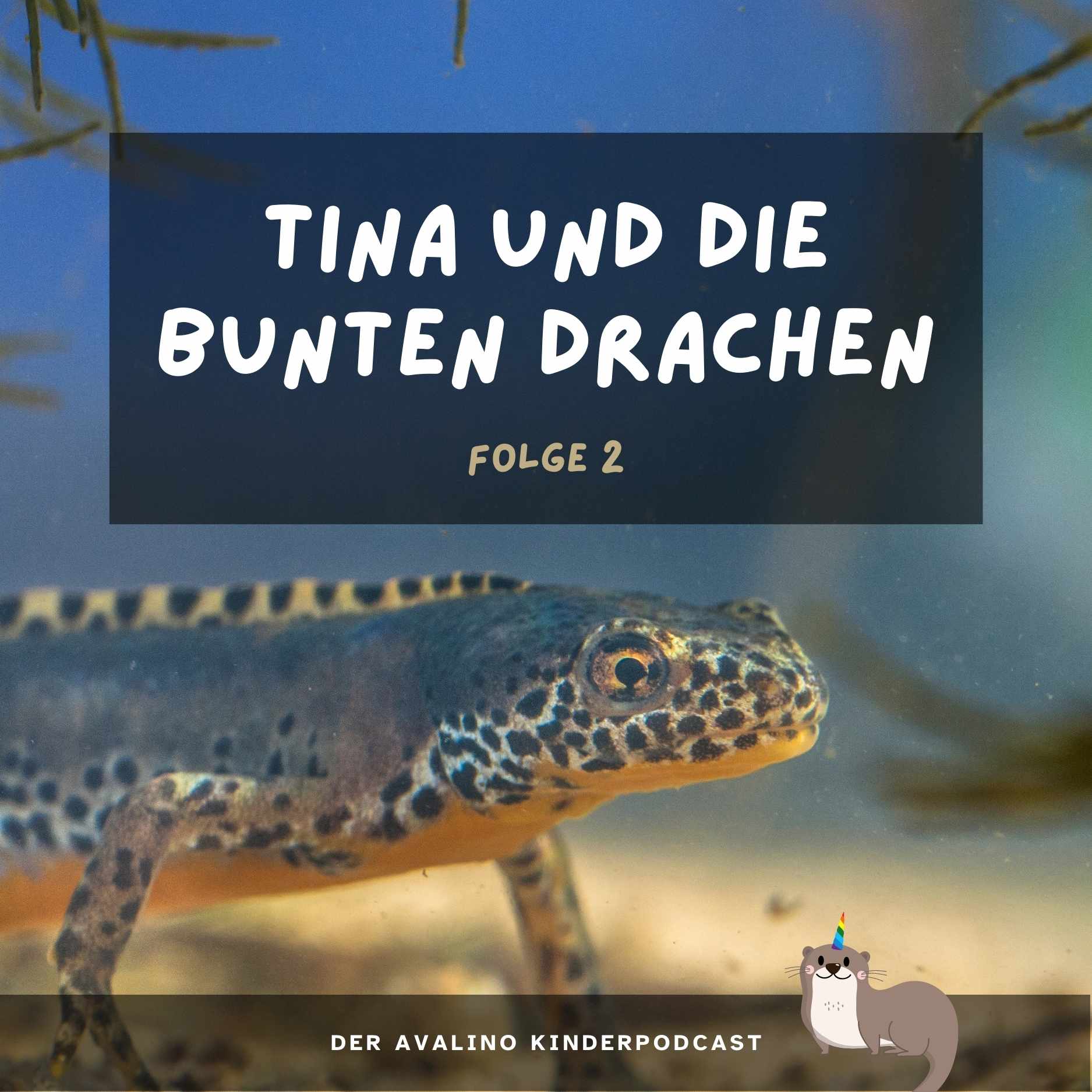 Tina und die bunten Drachen Tina und die bunten Drachen