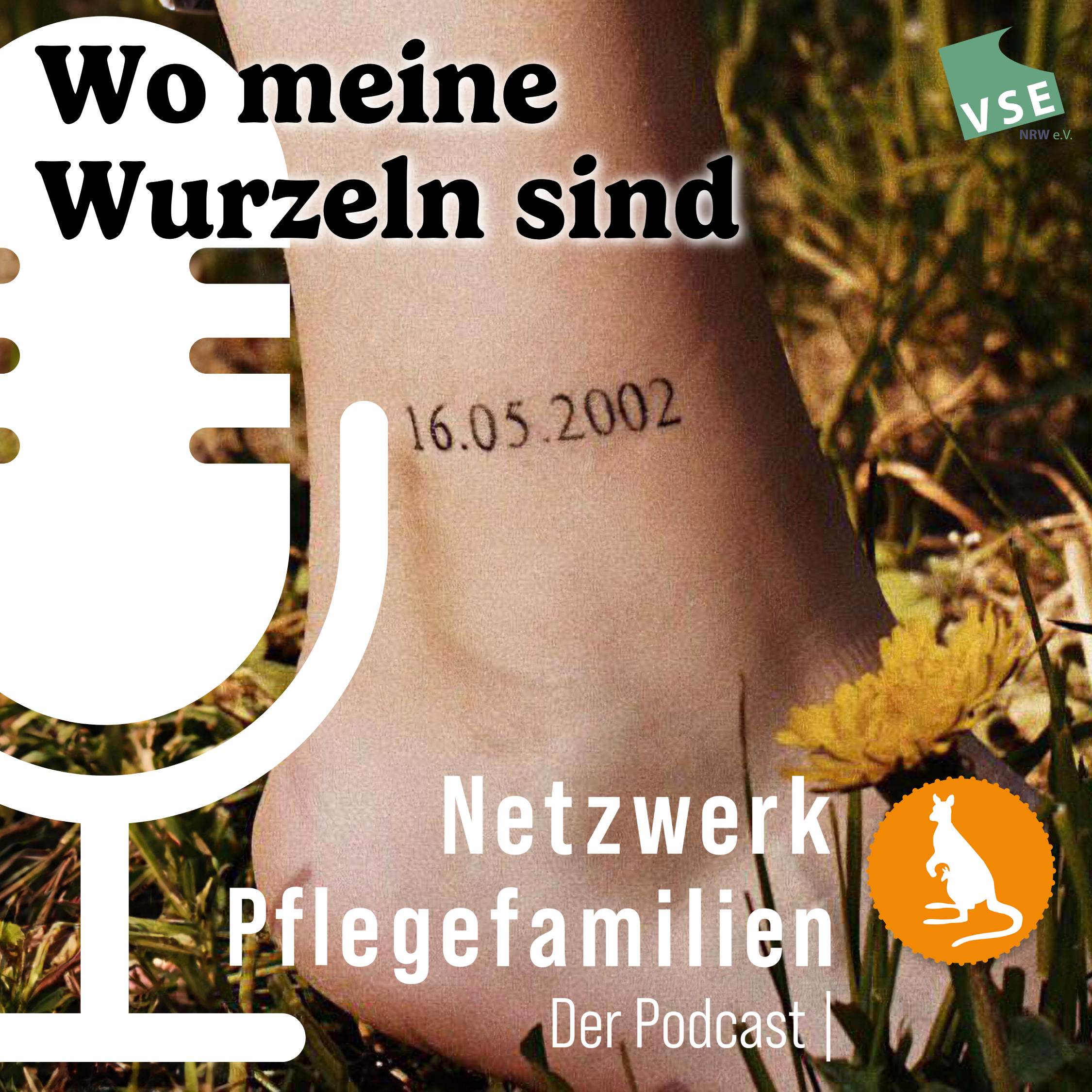 Netzwerk Pflegefamilien - Der Podcast