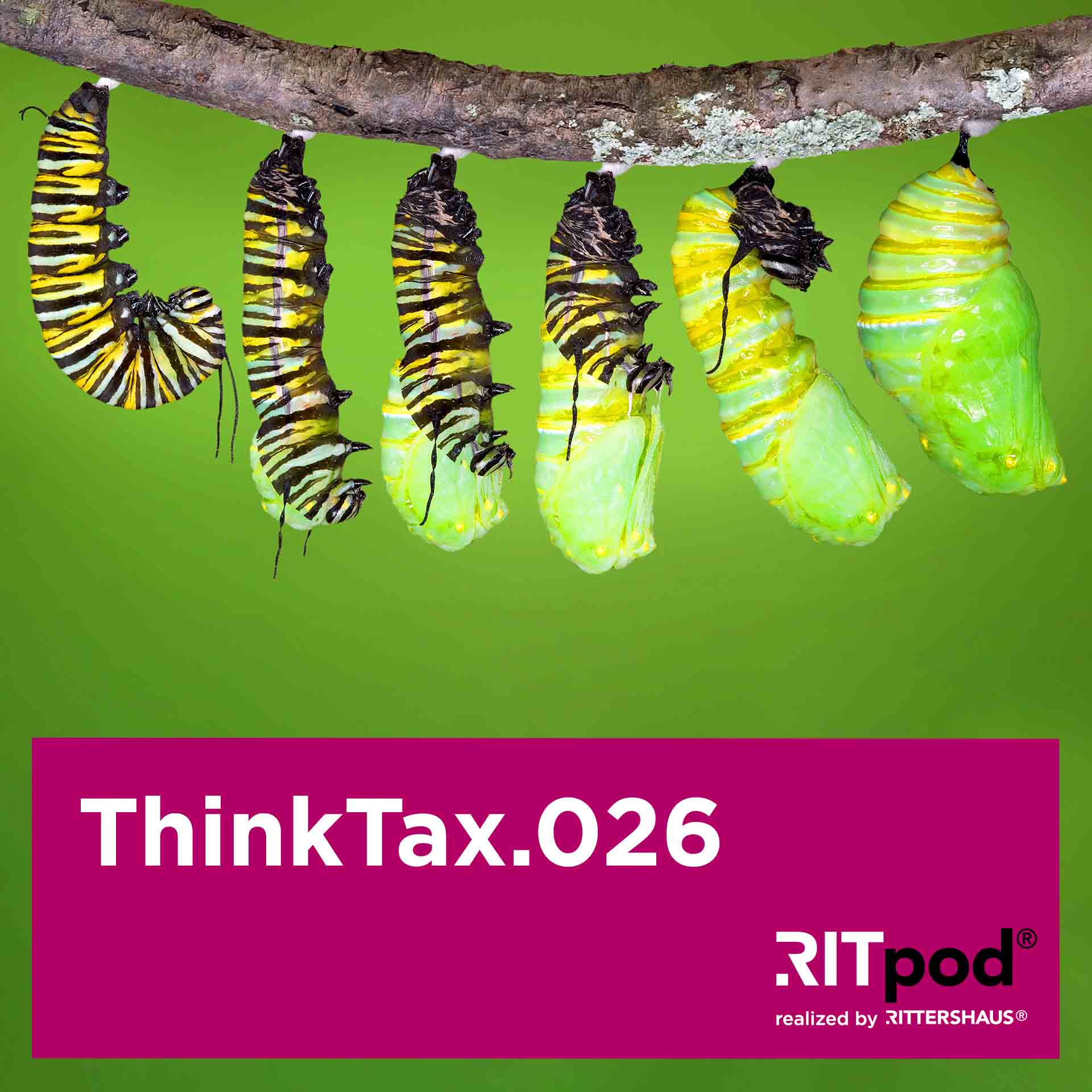 ThinkTax – Legal Insights zu Unternehmensstrukturen und Steuern