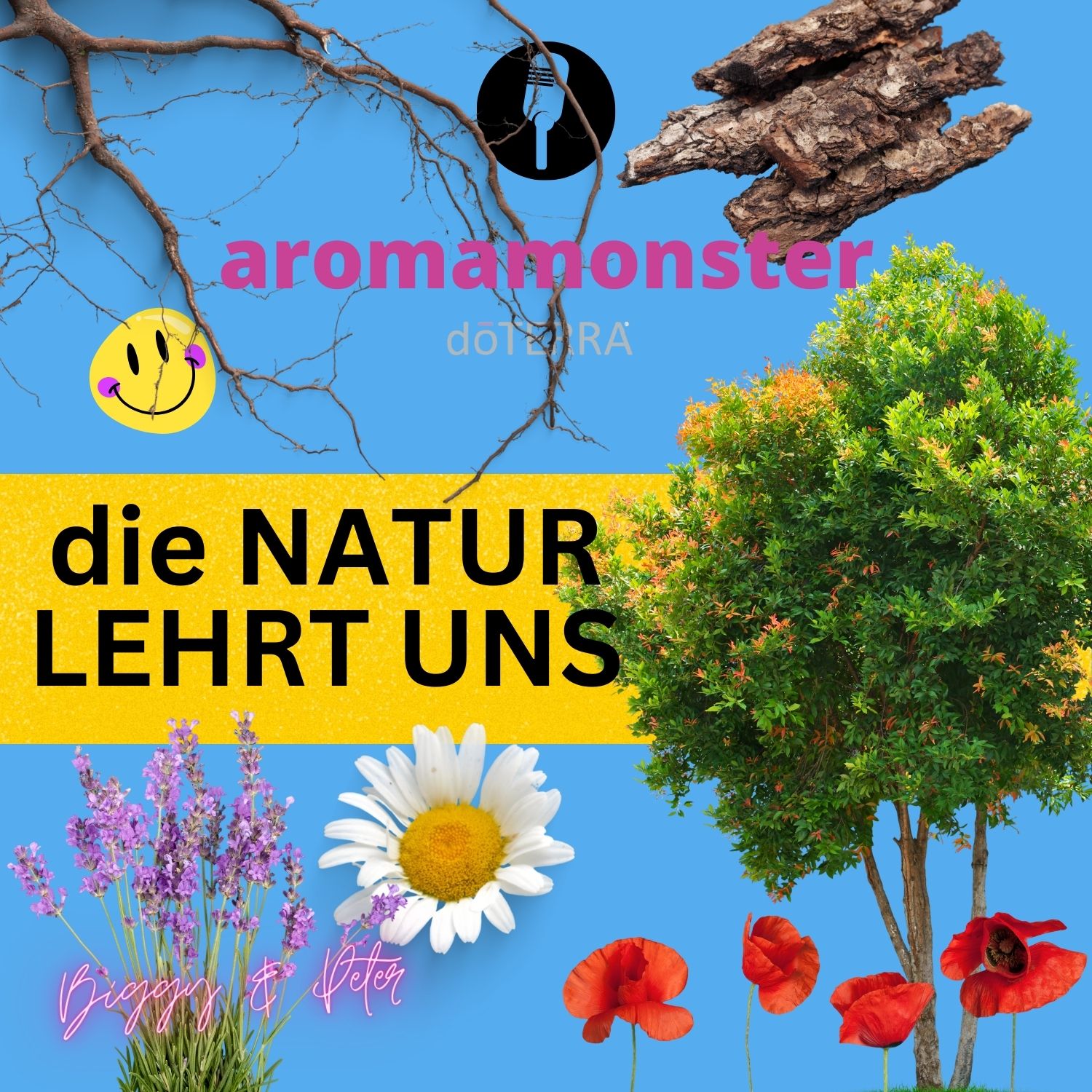 Die Natur lehrt uns! episode artwork