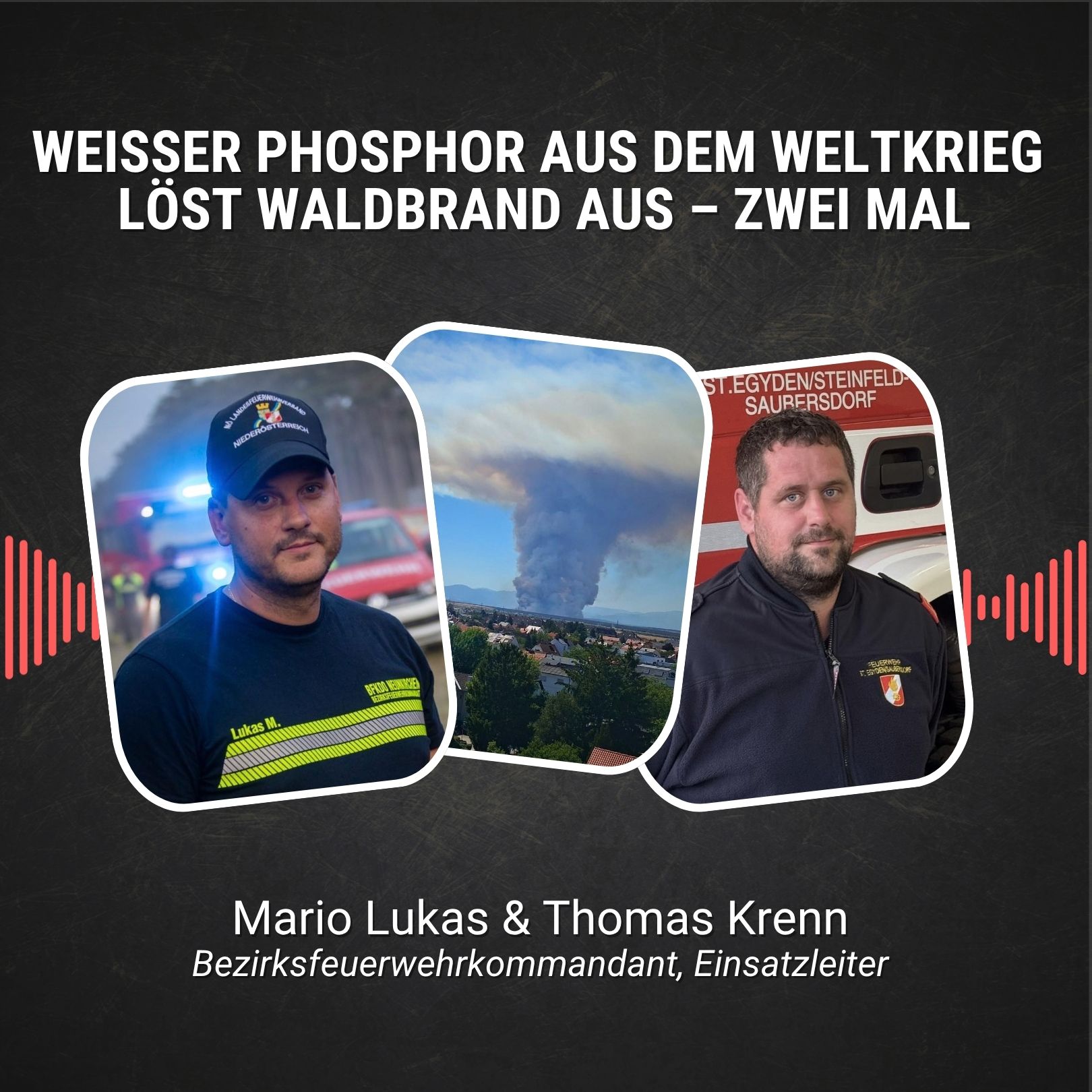 #123: Weißer Phosphor aus dem Weltkrieg löst Waldbrand aus – zwei Mal