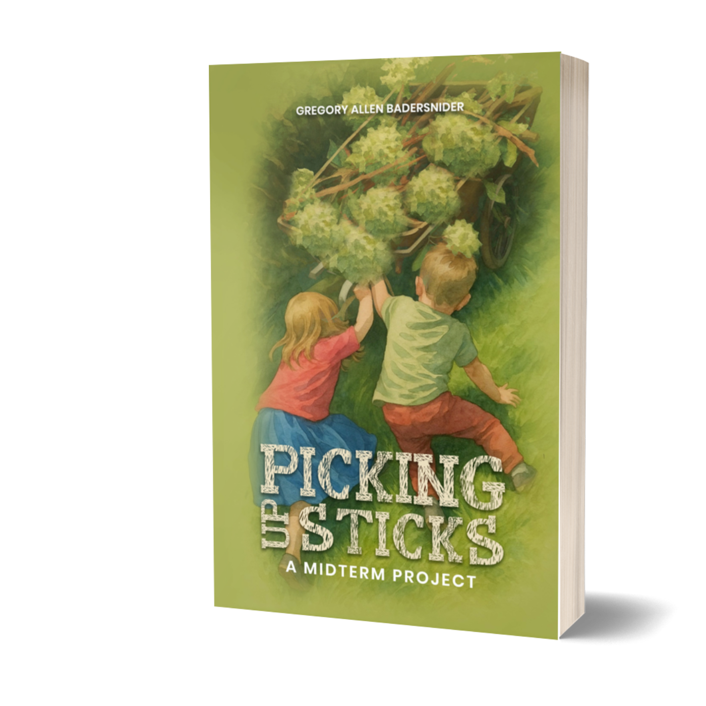 Picking Up Sticks: A Mid-Term Project. cover