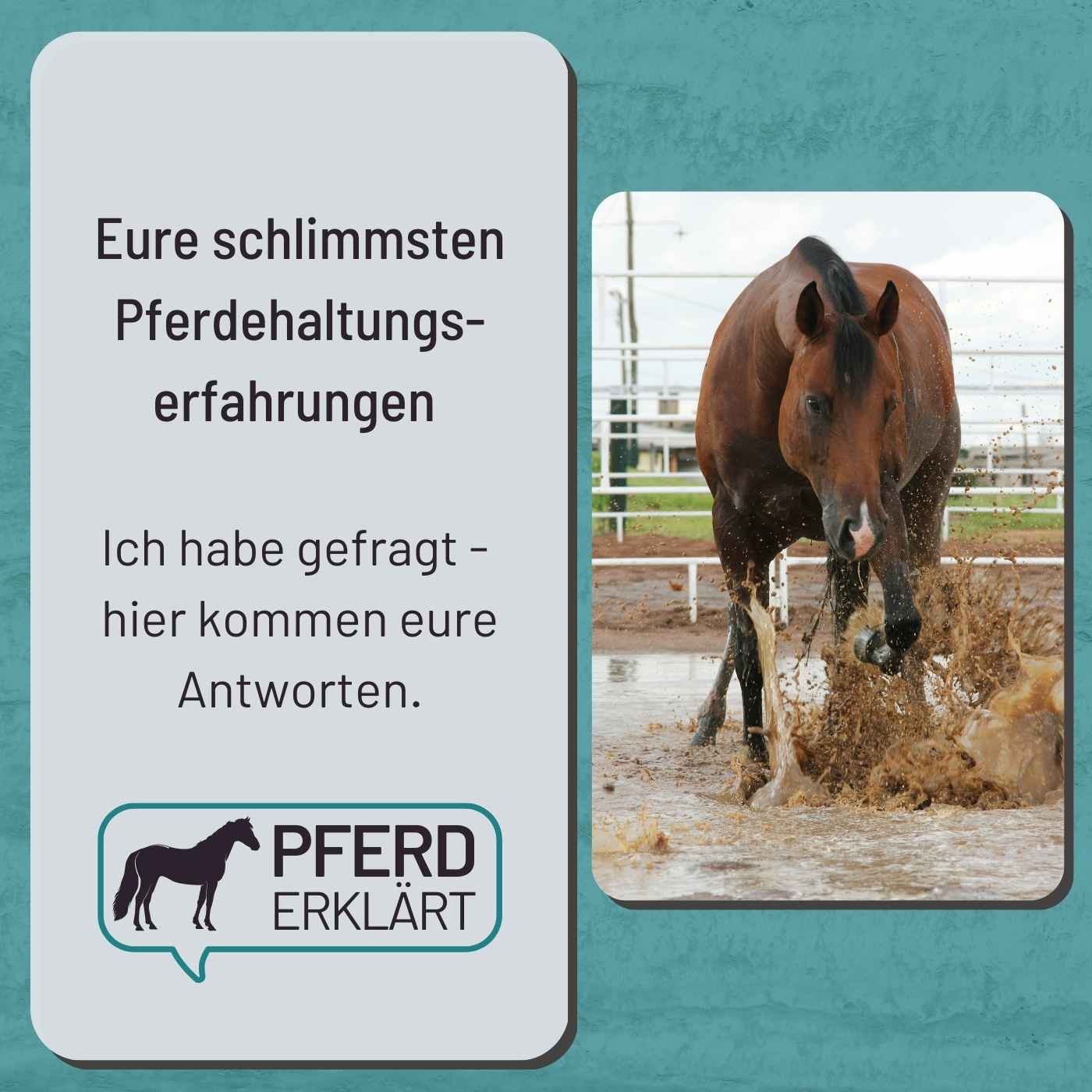 Pferdehaltung - Eure schlimmsten Erfahrungen