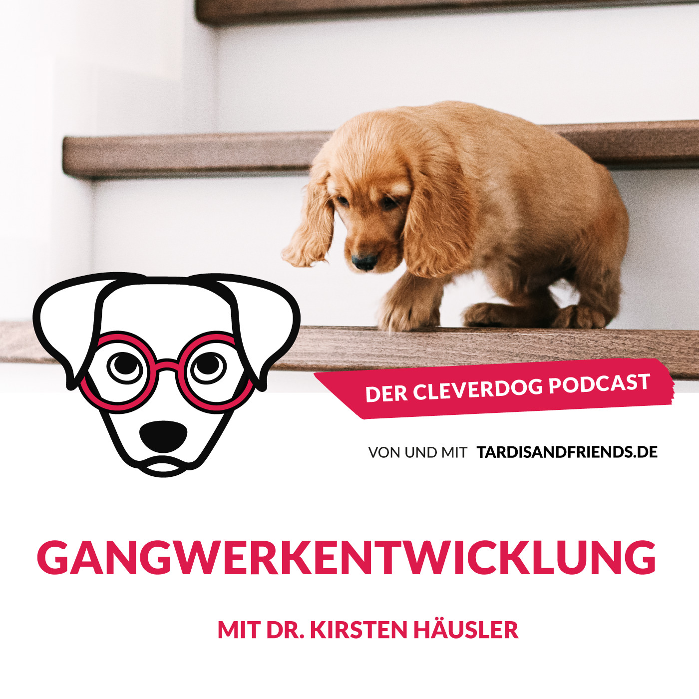Der Cleverdog Podcast – mehr Wissen rund um den Hund!