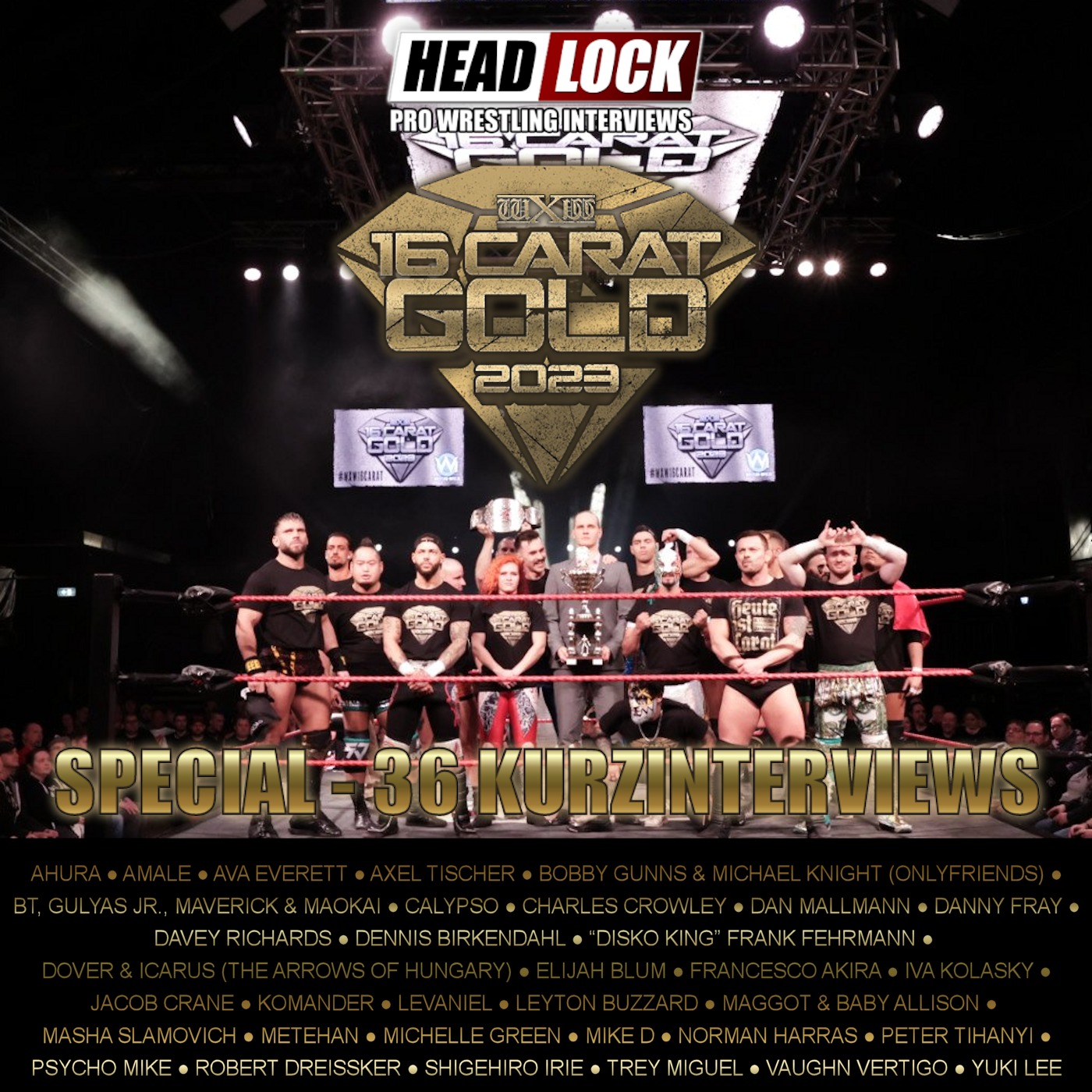 HEADLOCK - Pro Wrestling Interviews