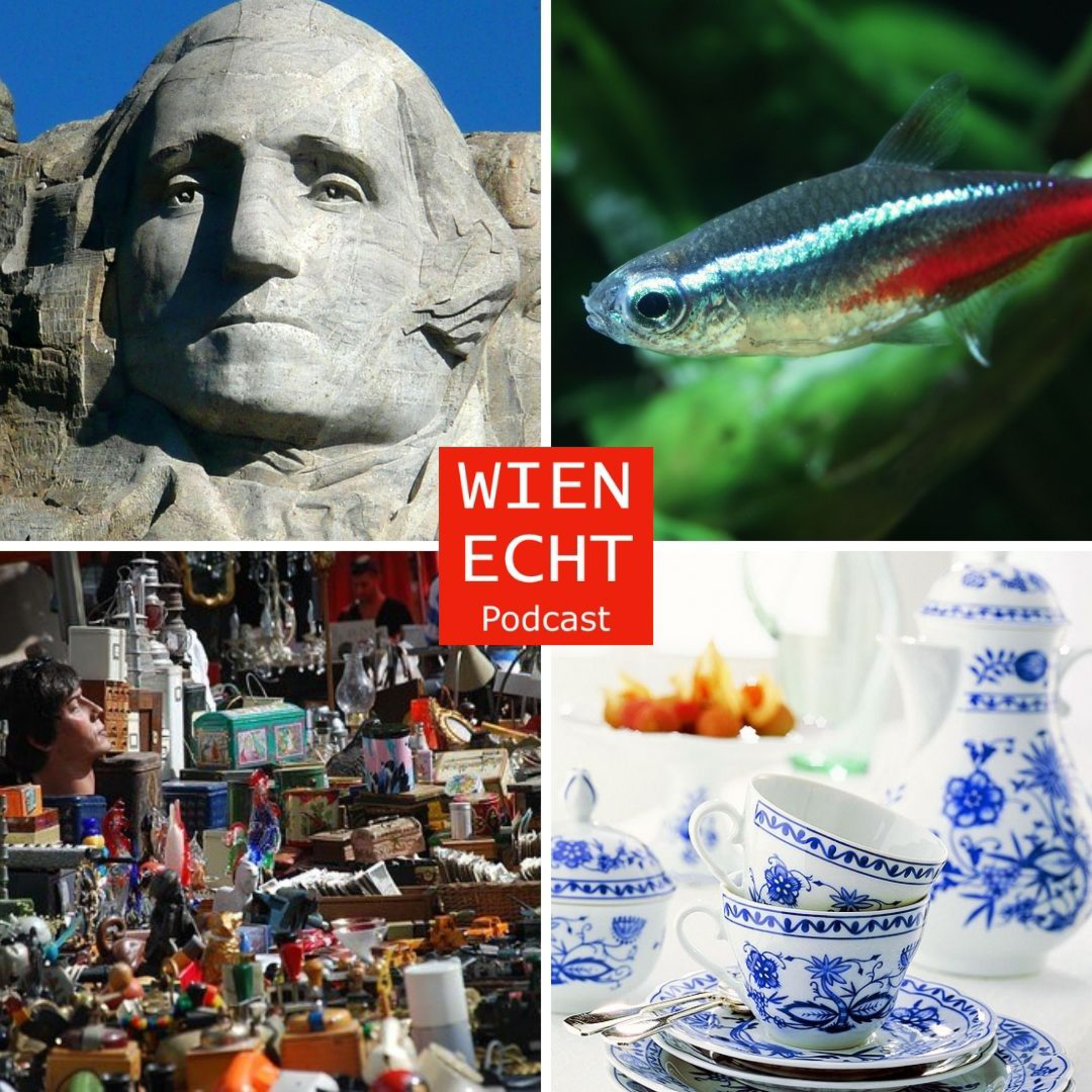 Wien echt