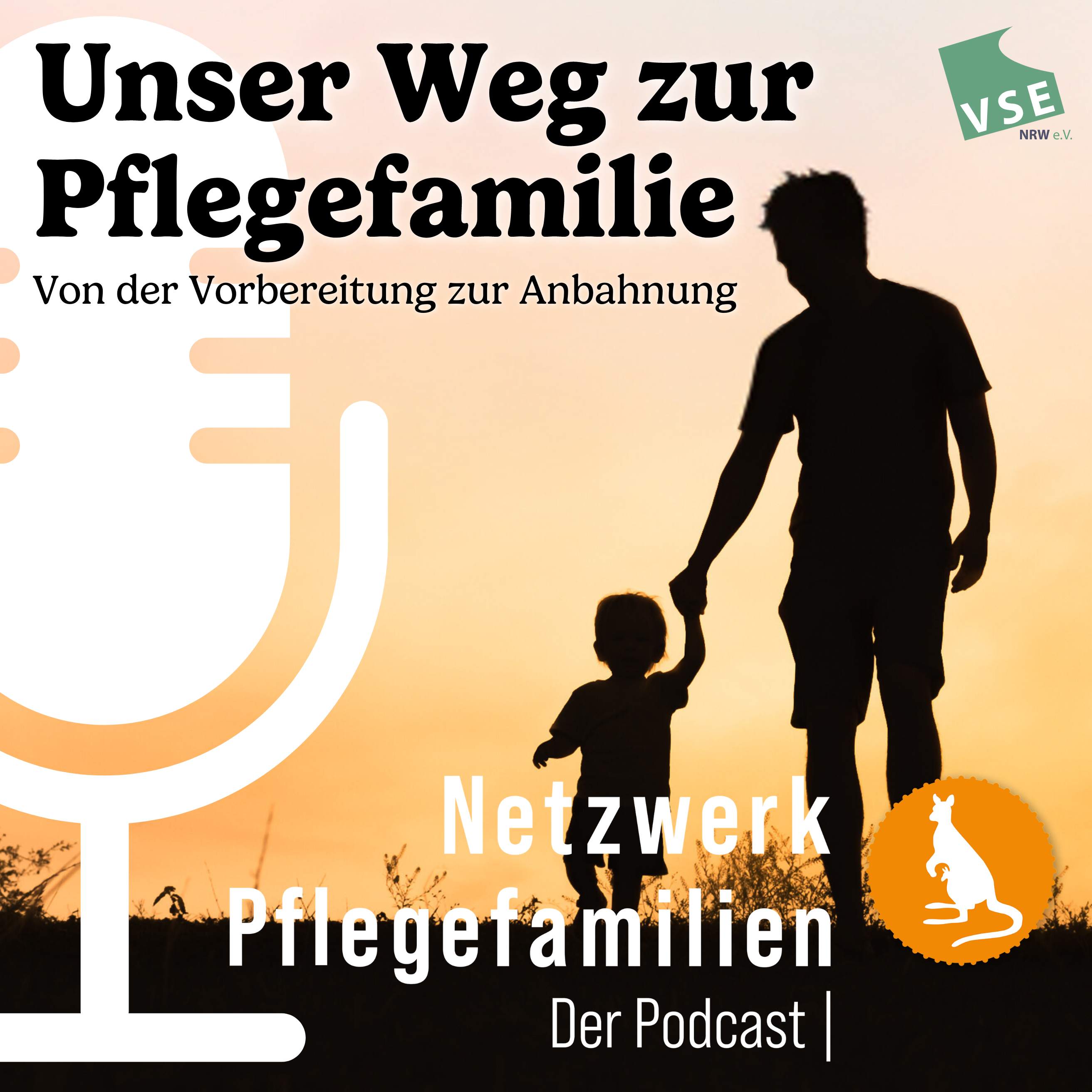 Netzwerk Pflegefamilien - Der Podcast