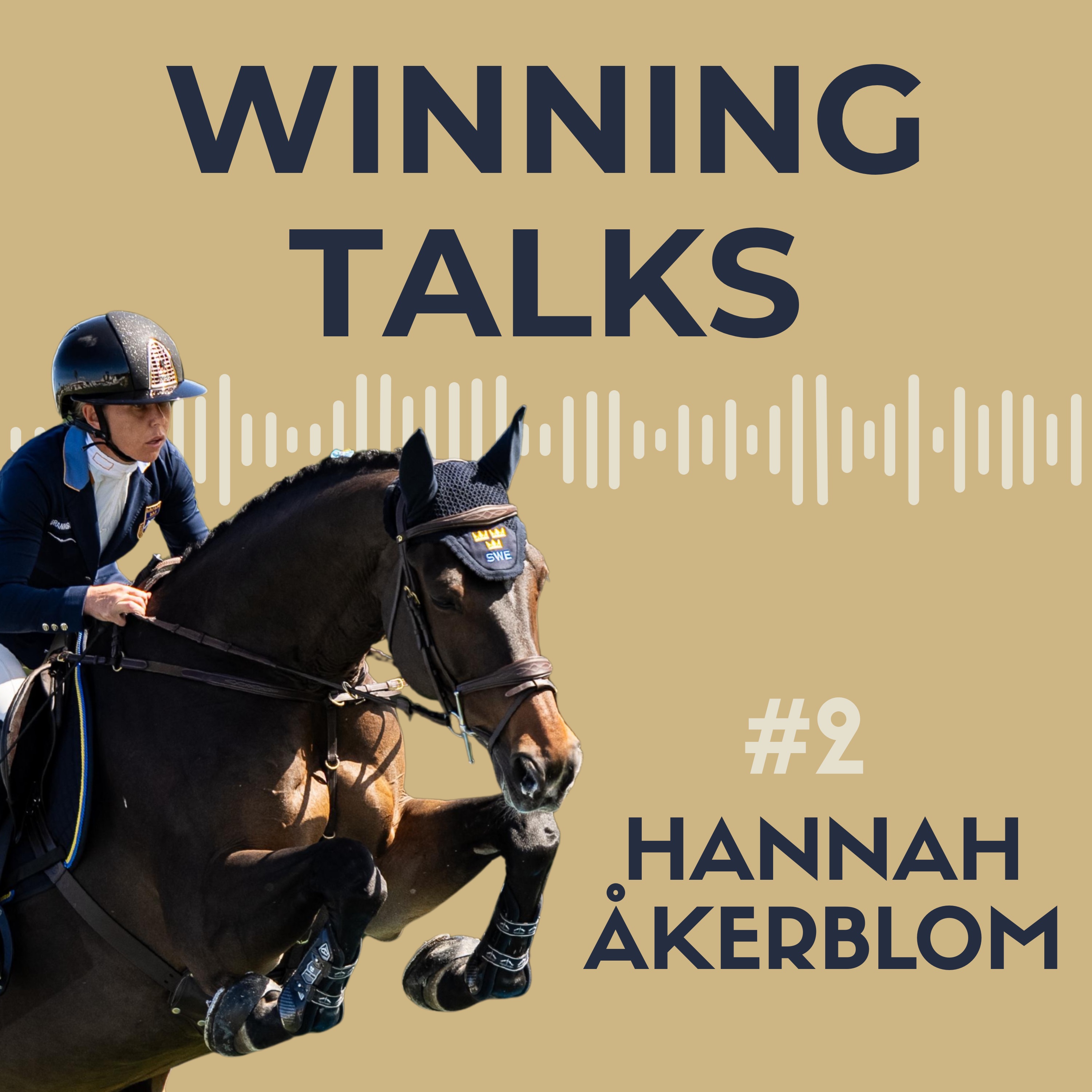 WINNING TALKS
