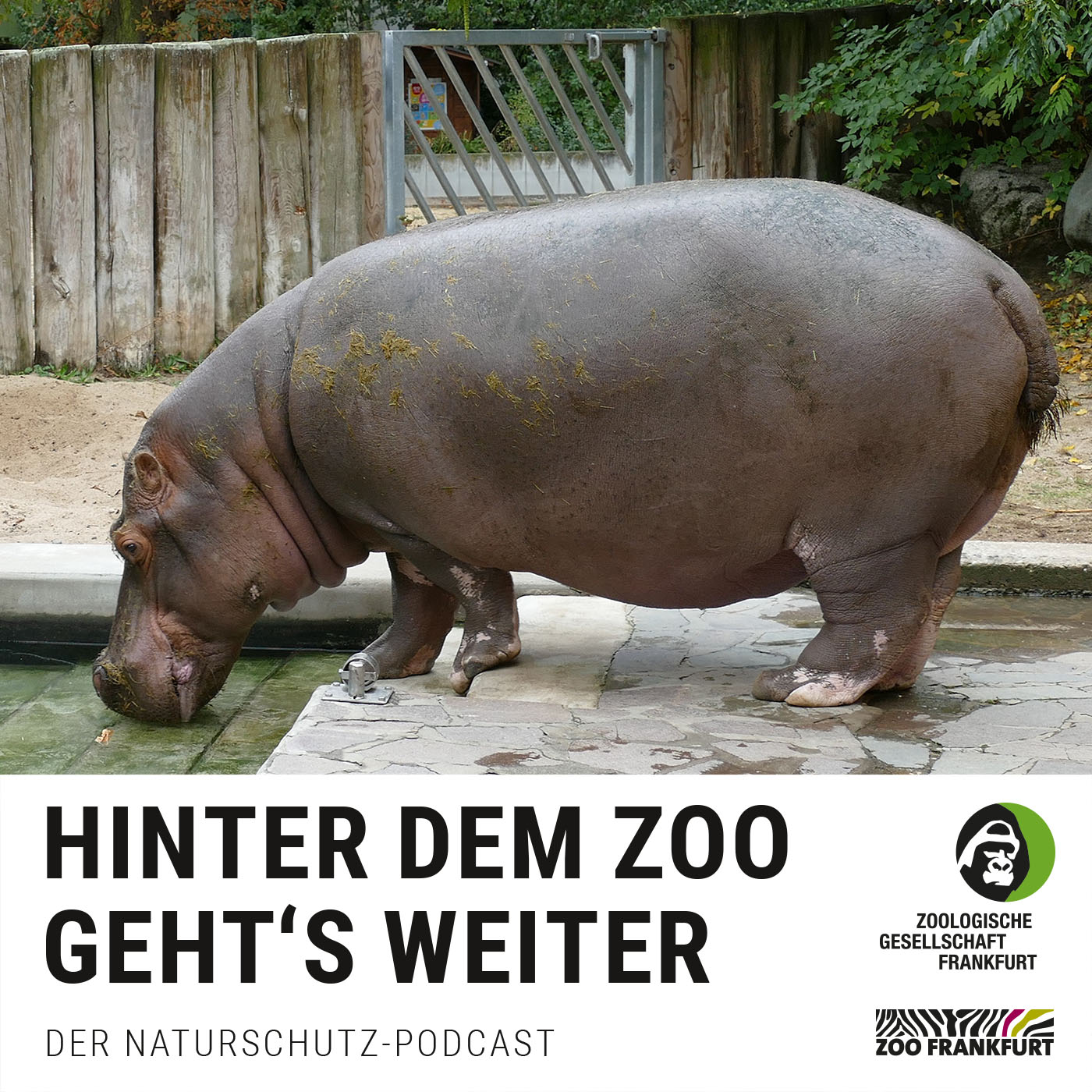 H2O im Zoo: Vom kleinen Becken zum riesigen Weiher