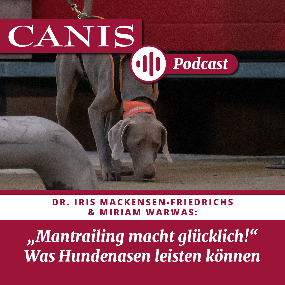 Der CANIS-Podcast – Hundeexpert:innen ausgefragt