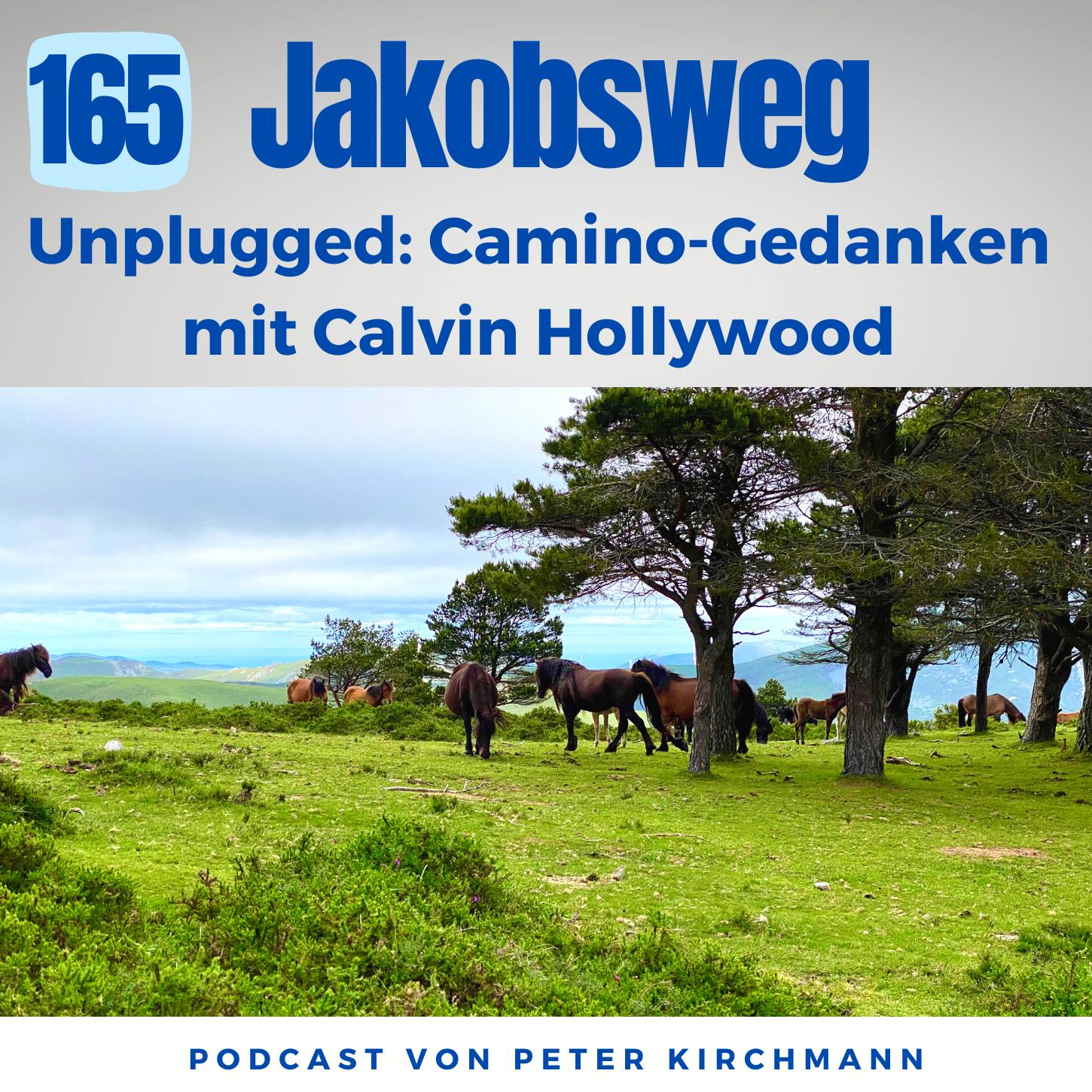 Jakobsweg - Dein Podcast für den Camino de Santiago