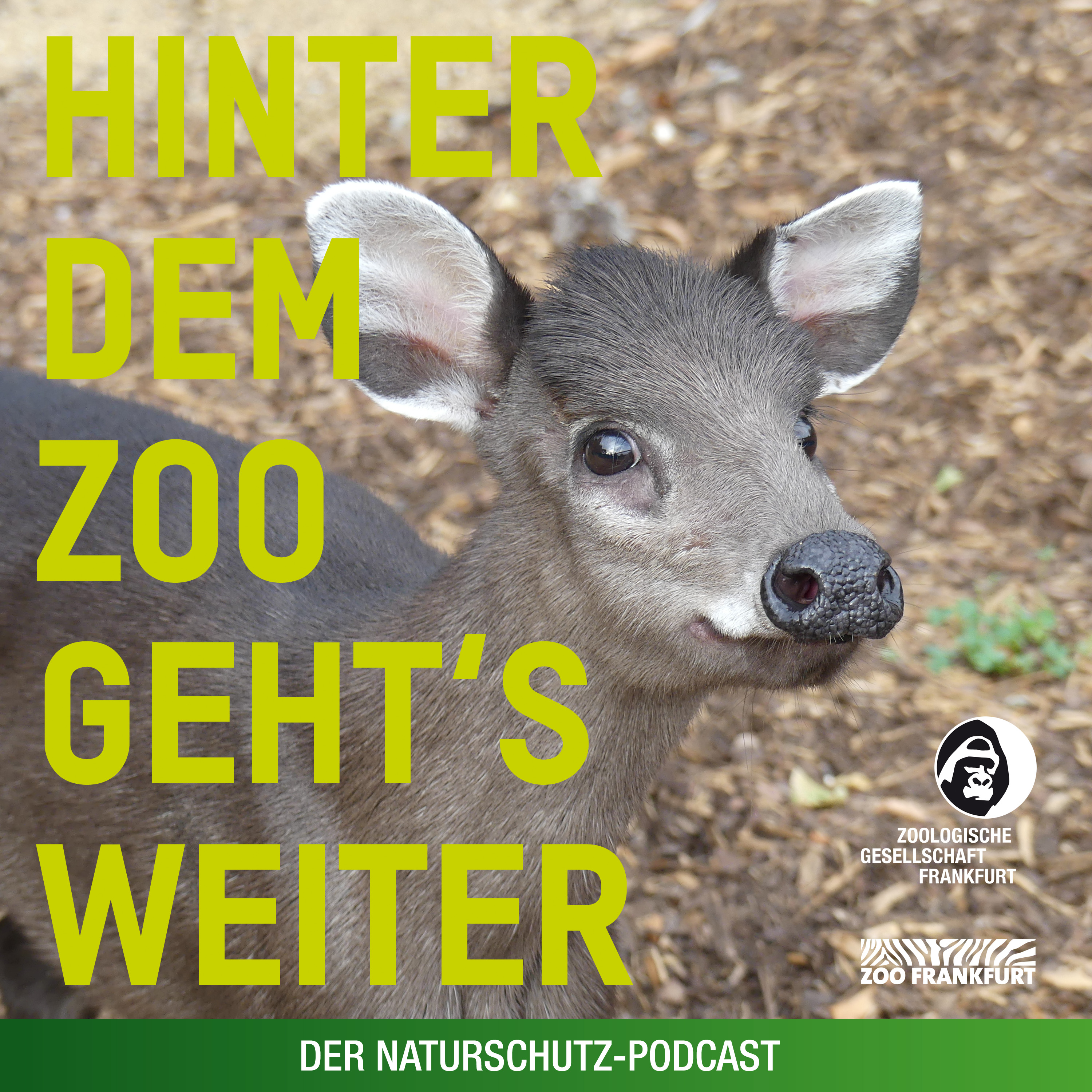 Hinter dem Zoo geht\'s weiter - Der Naturschutzpodcast aus Frankfurt