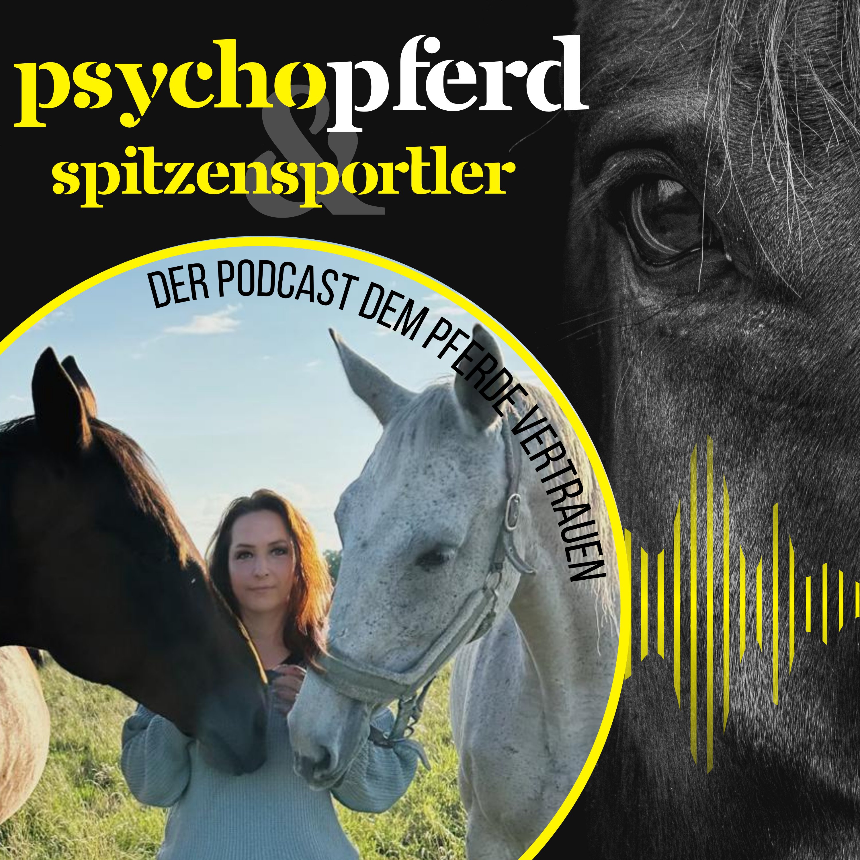 Manuela Karrasch über Schulpferd Coco: Sie hat nie aufgegeben #028 - PsychoPferd & Spitzensportler episode artwork