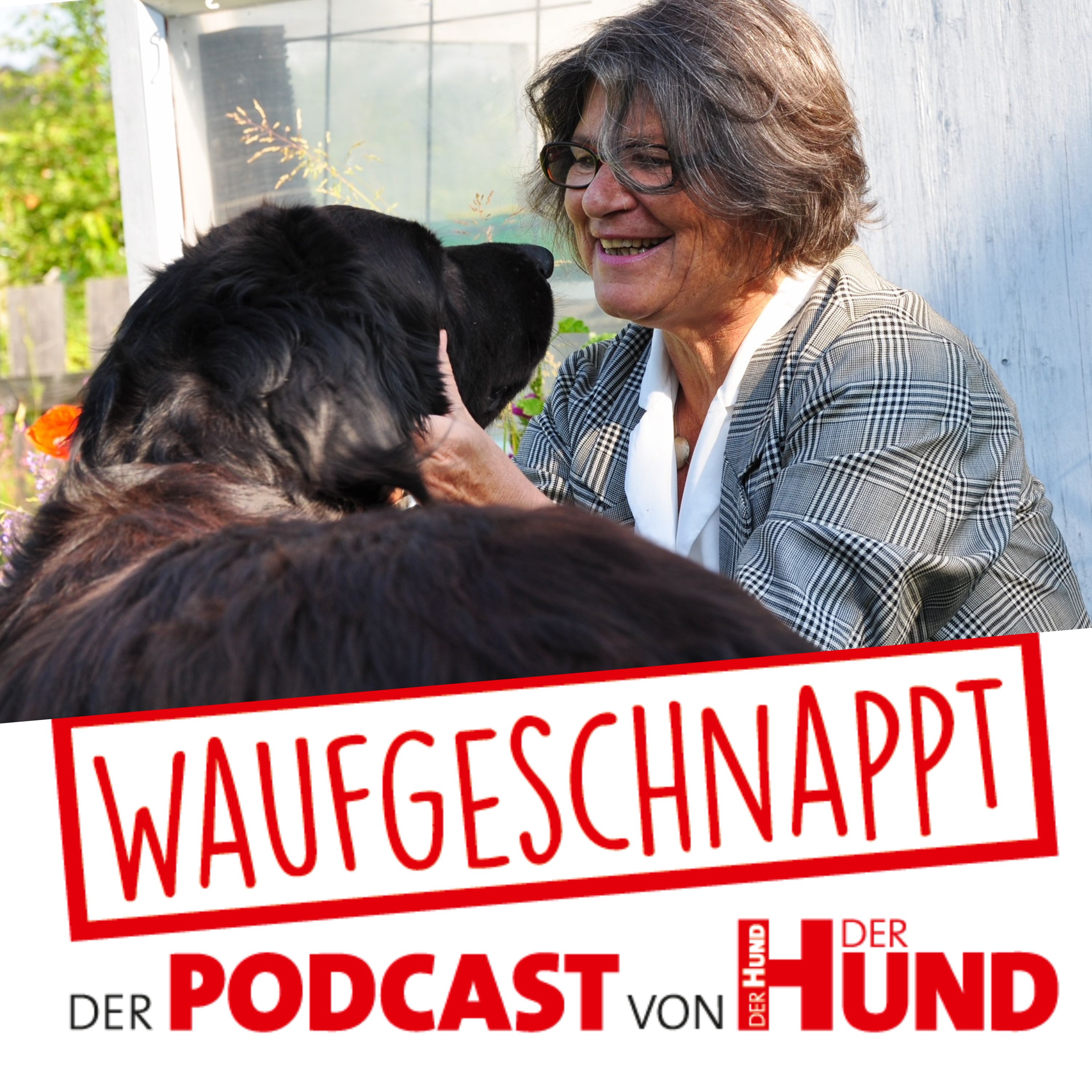 Waufgeschnappt - der Podcast von DER HUND