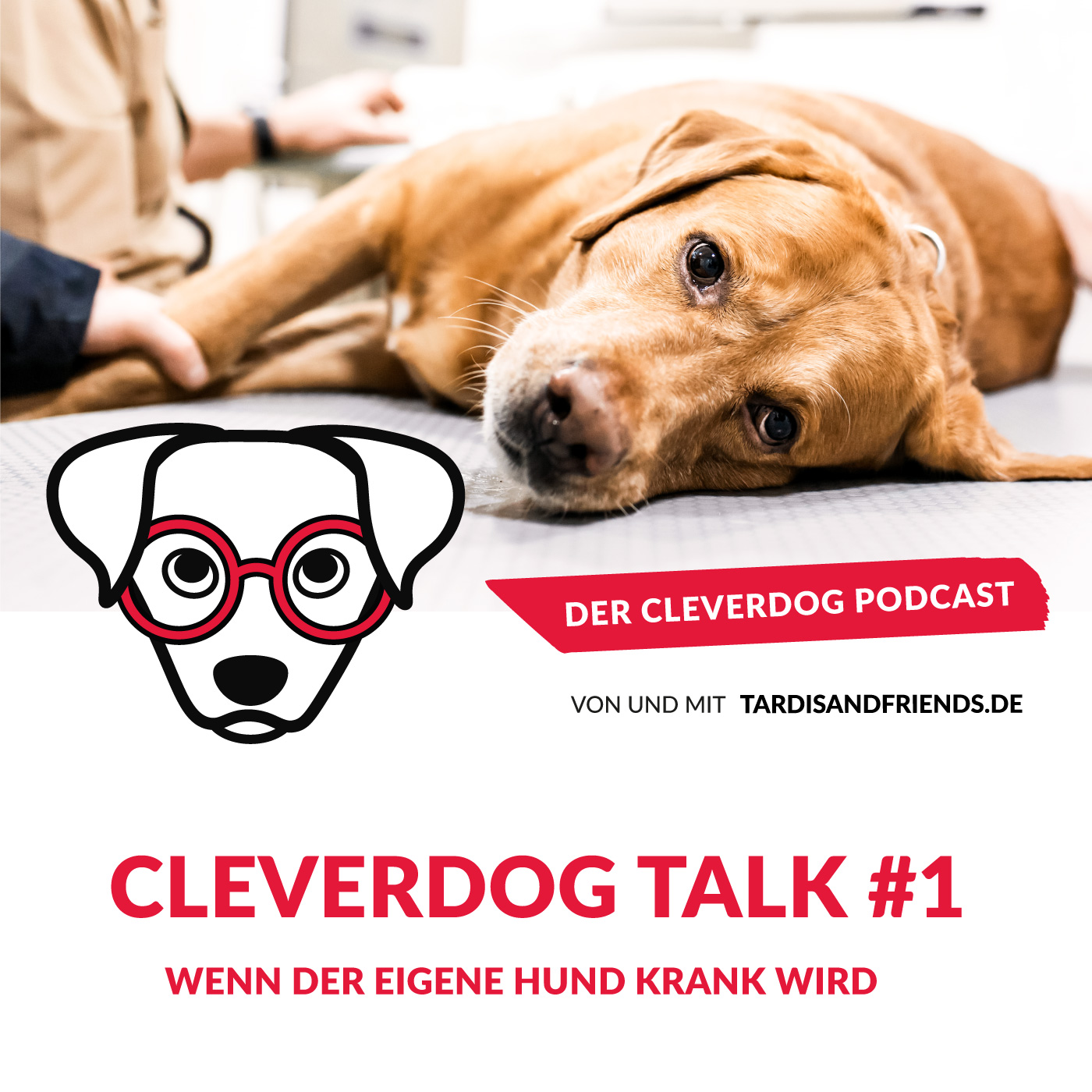 Der Cleverdog Podcast – mehr Wissen rund um den Hund!