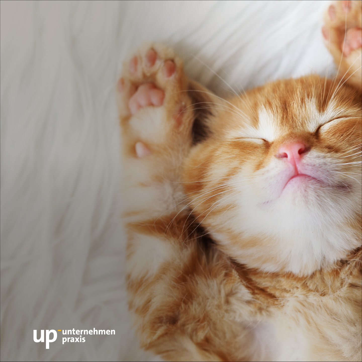 up-podcast – der Podcast rund um Therapie und Praxis