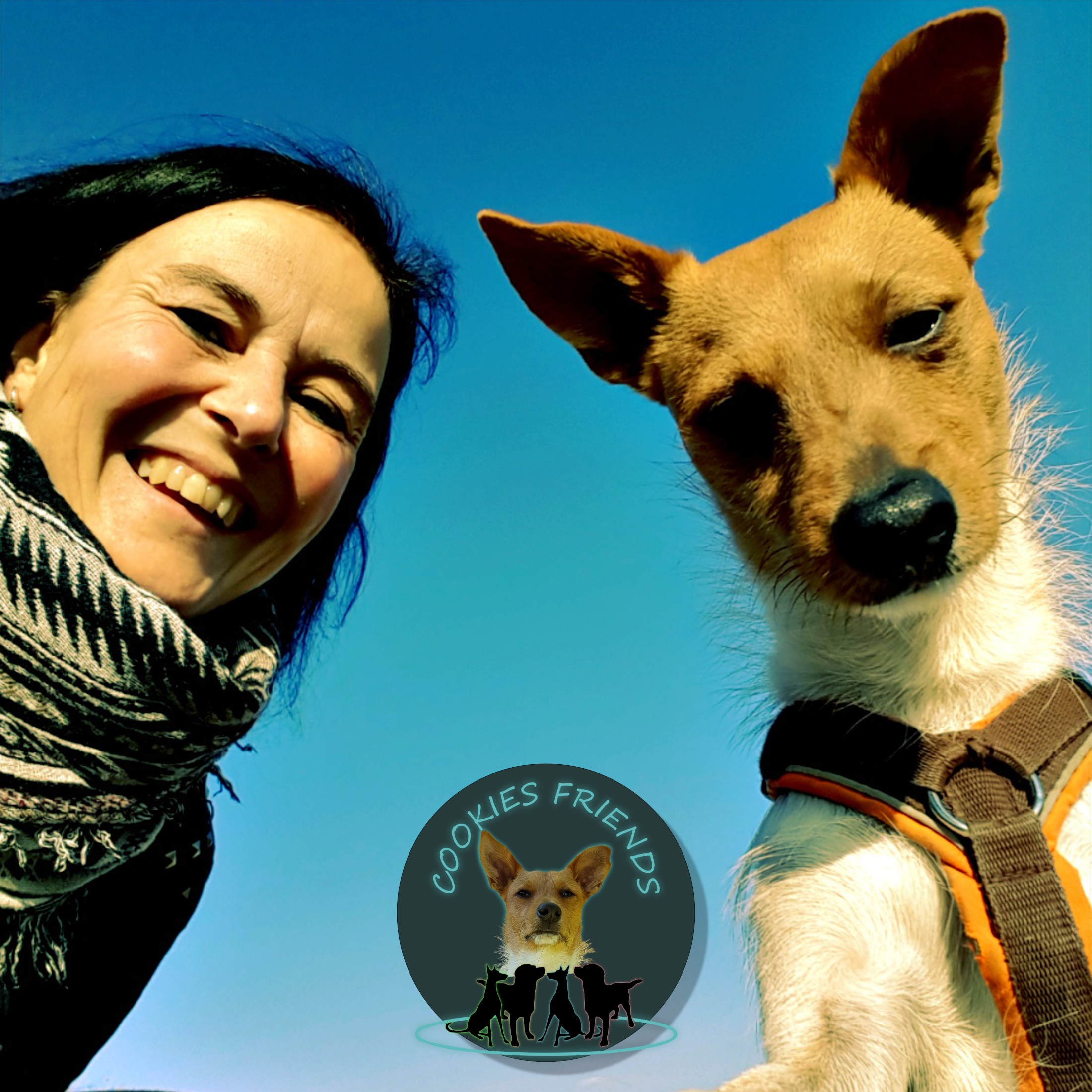 Cookies Friends. Der Podcast für Tierschutz-Hunde