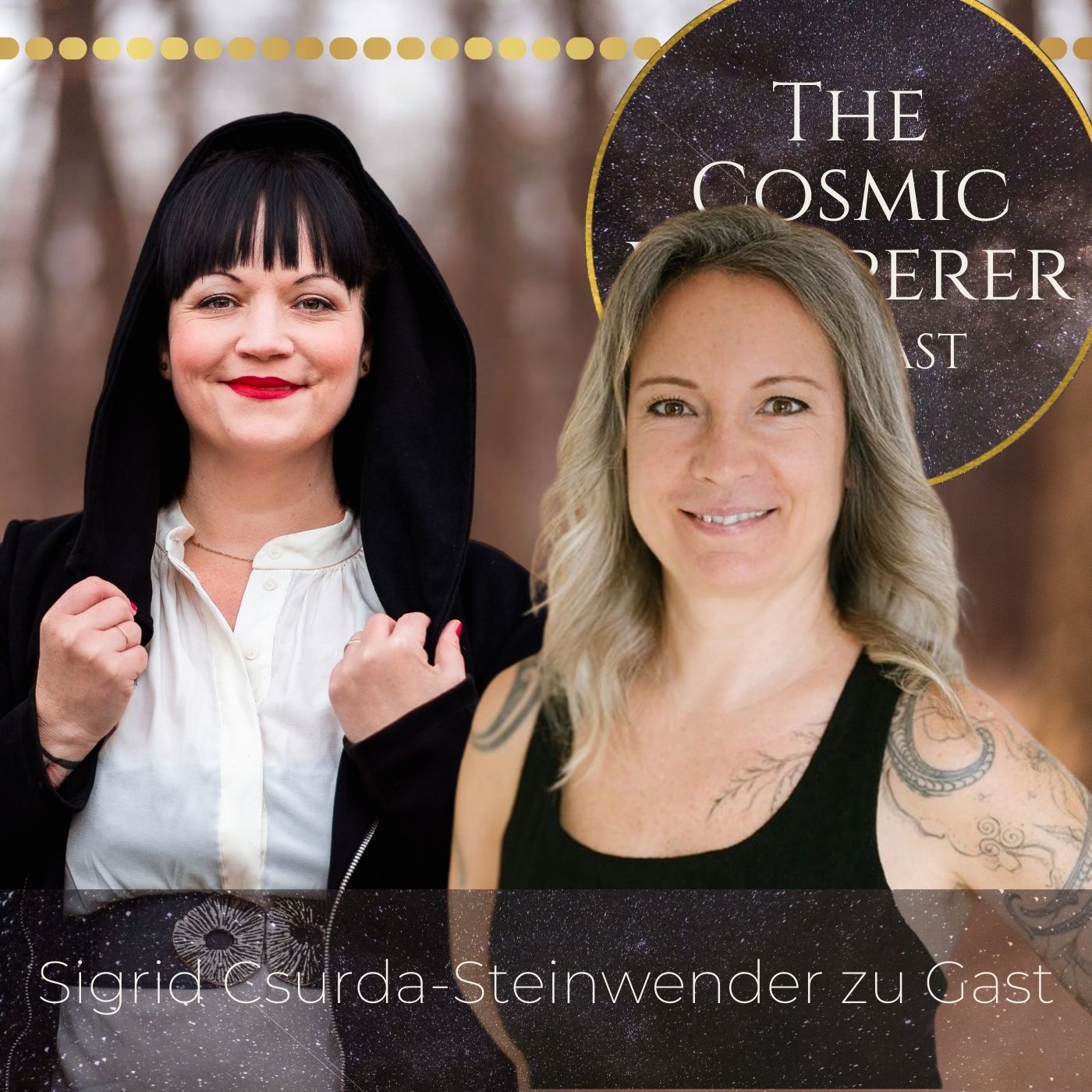 Wie uns die Energie in den eigenen 4 Wänden beeinflusst - Interview mit Sigrid Csurda-Steinwender episode artwork