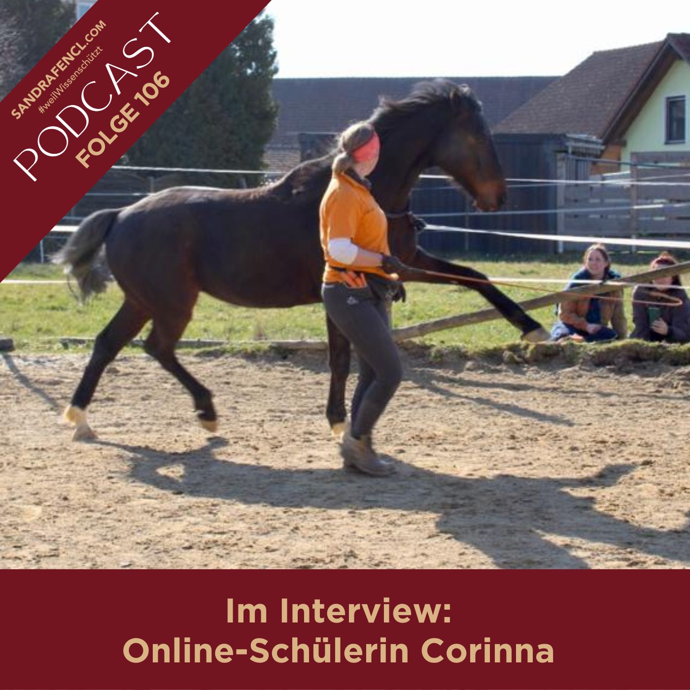🏇 Meine Online-Schülerin Corinna im Interview