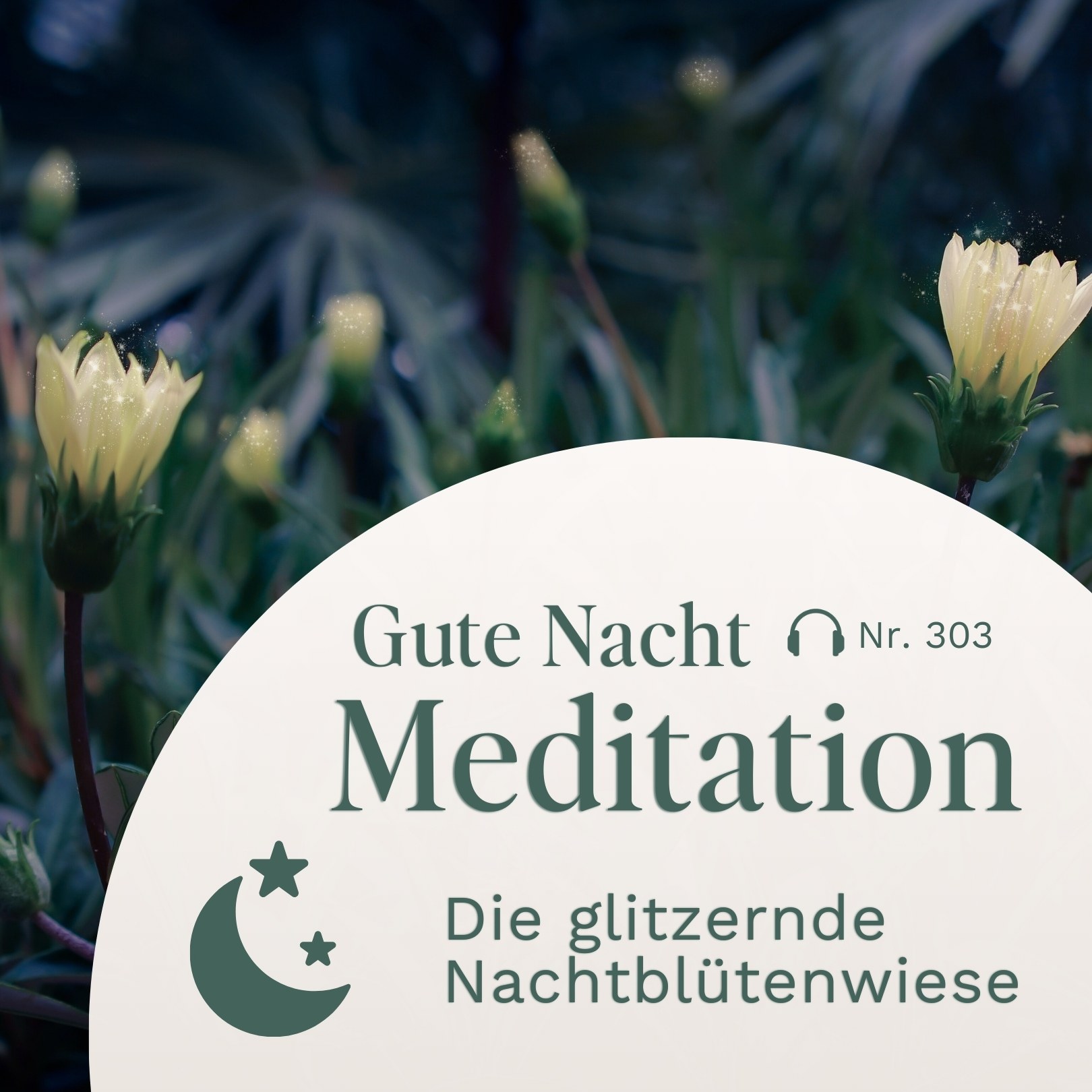 Gute Nacht Meditation // Die glitzernde Nachtblütenwiese