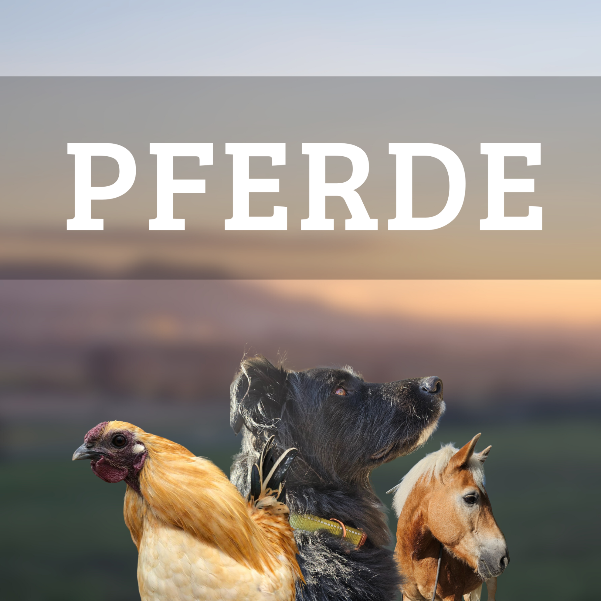 Schnauze tierisch voll!