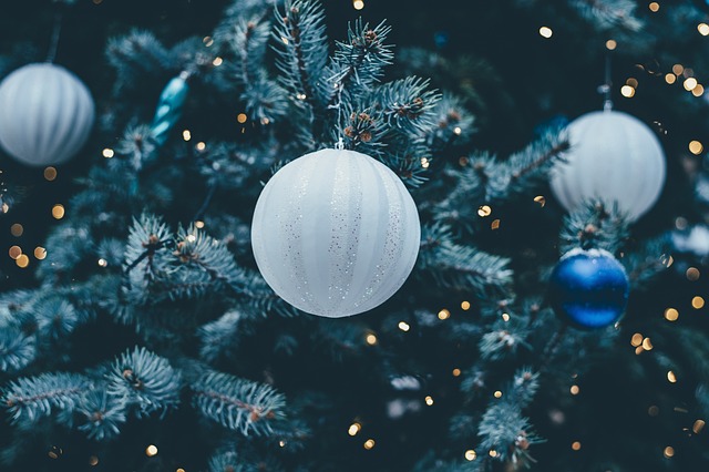AUSGABE 15 - Weihnachts-Special Teil 1 - Weihnachtsbäume episode artwork