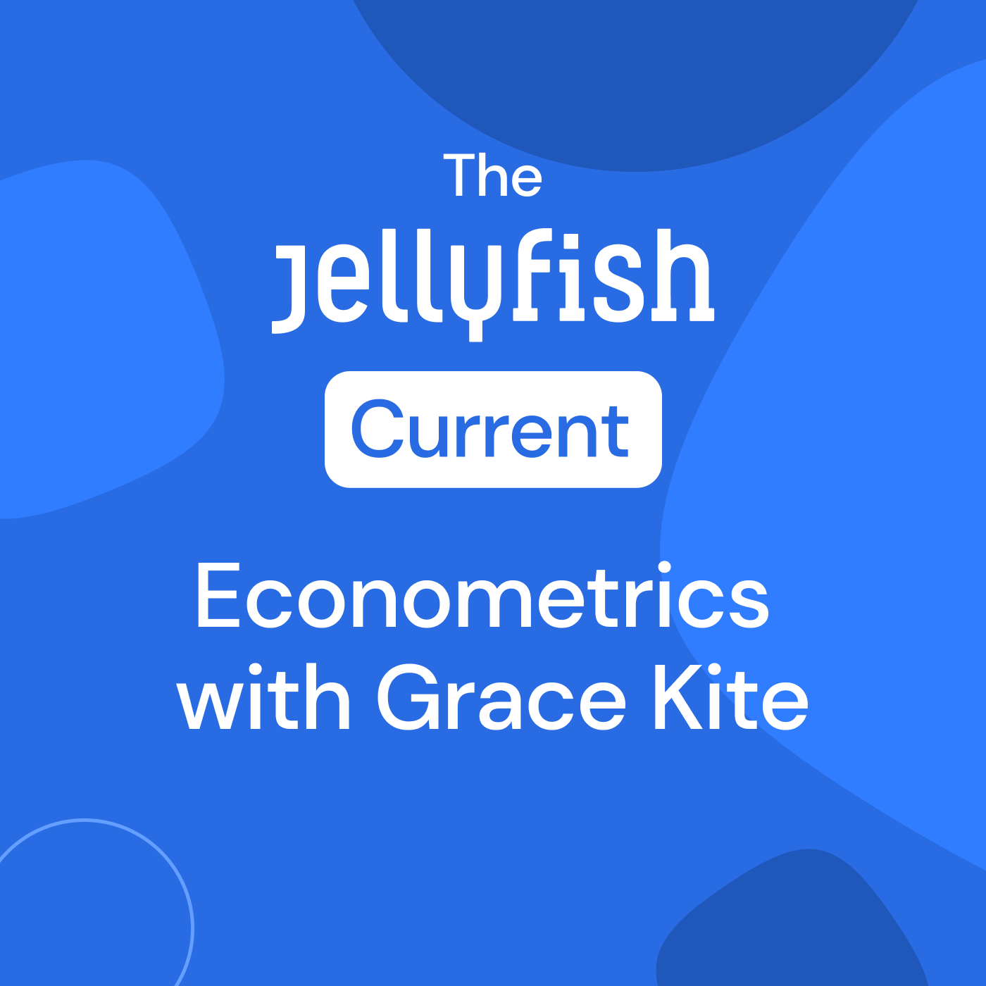 Reading the Numbers With Econometrician Grace Kite