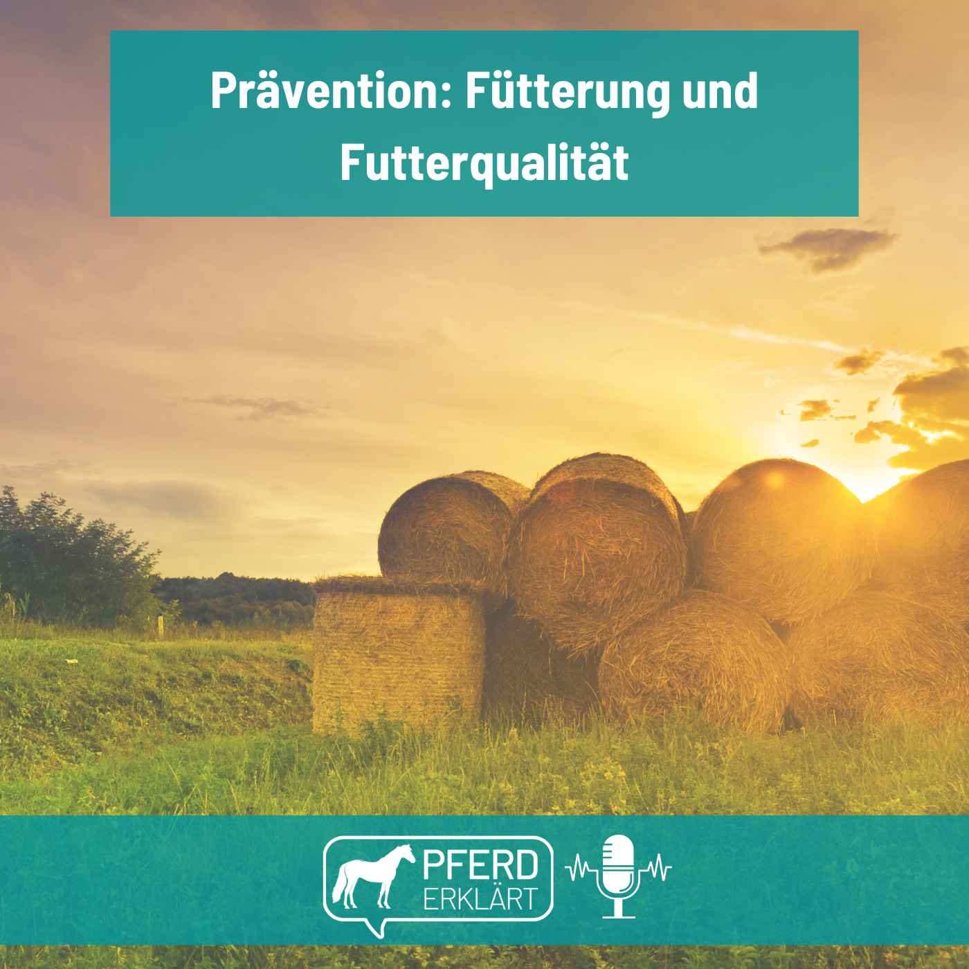 Themenreihe "Prävention": Futter und Fütterung