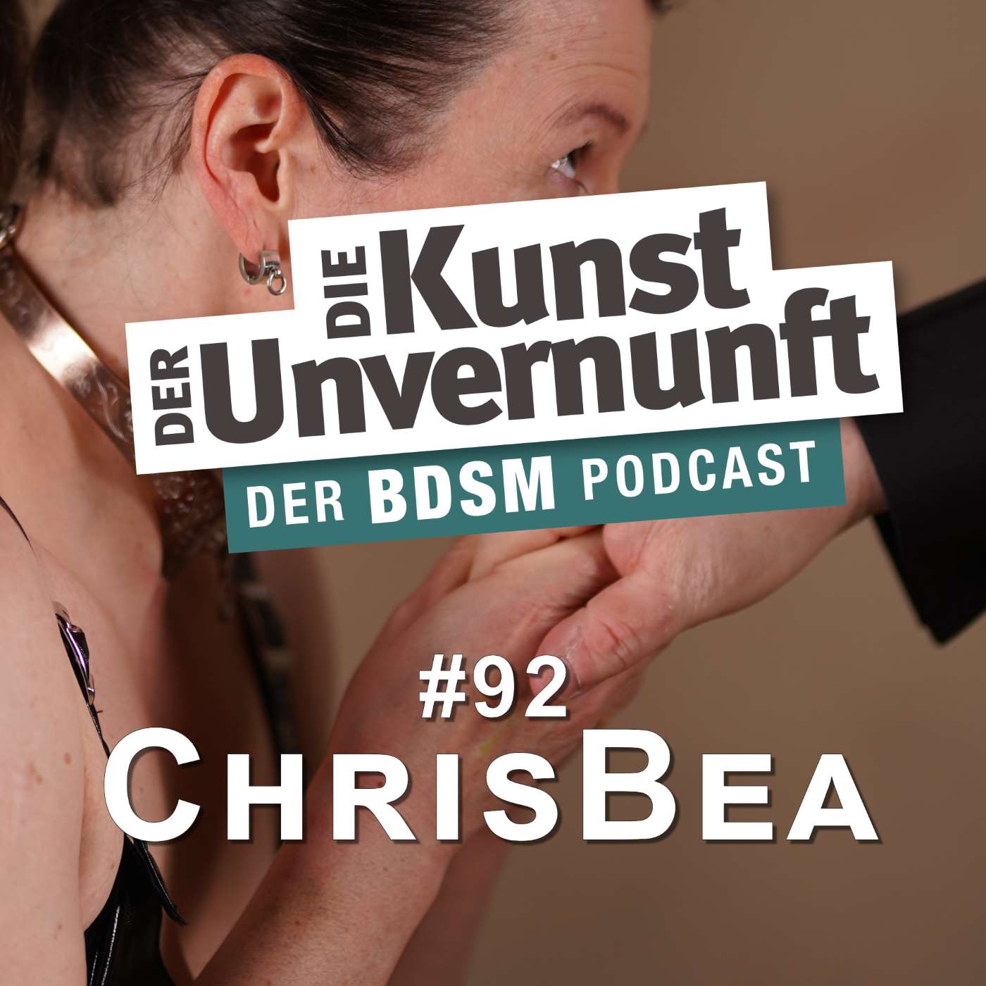 BDSM - Die Kunst der Unvernunft