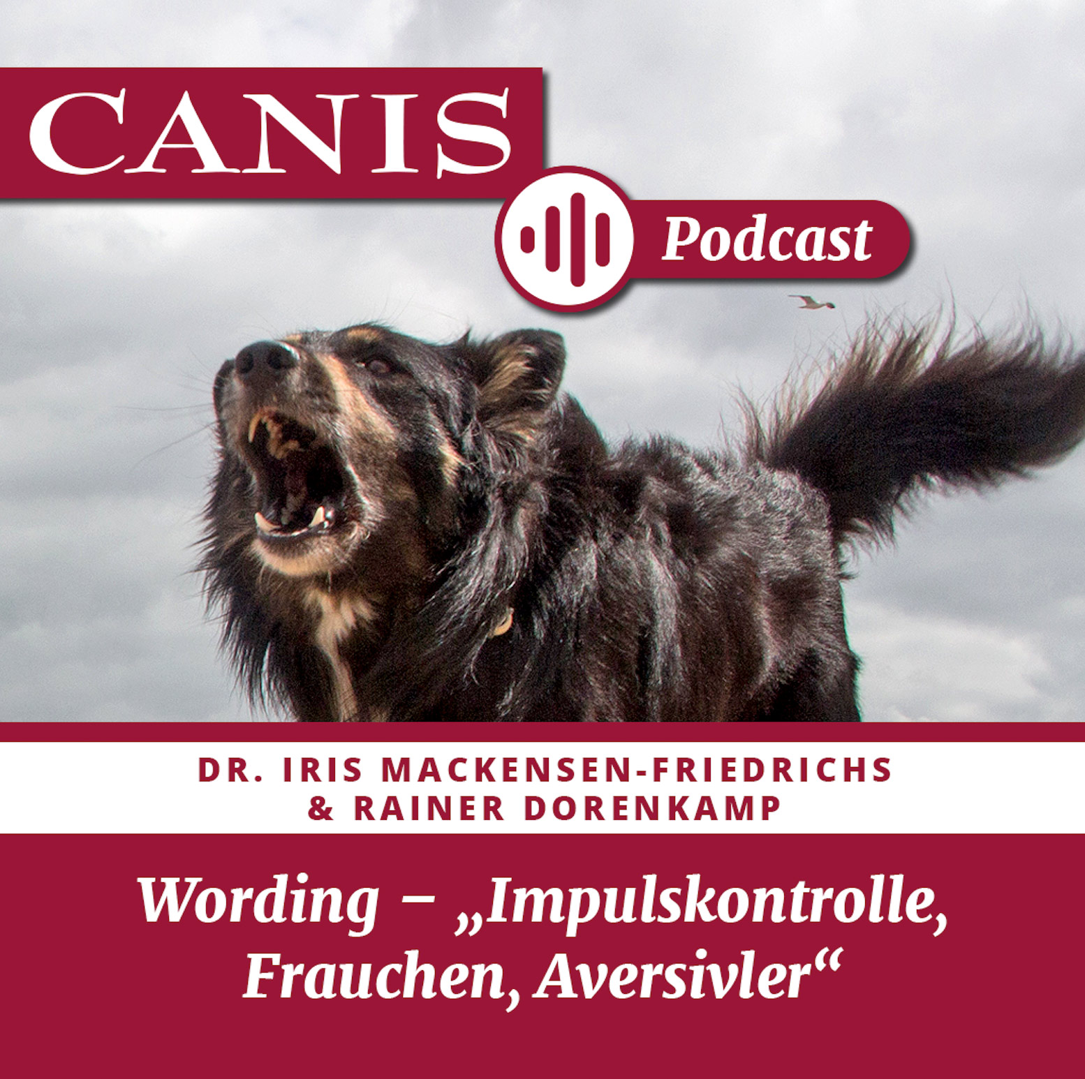 Der CANIS-Podcast – Hundeexpert:innen ausgefragt