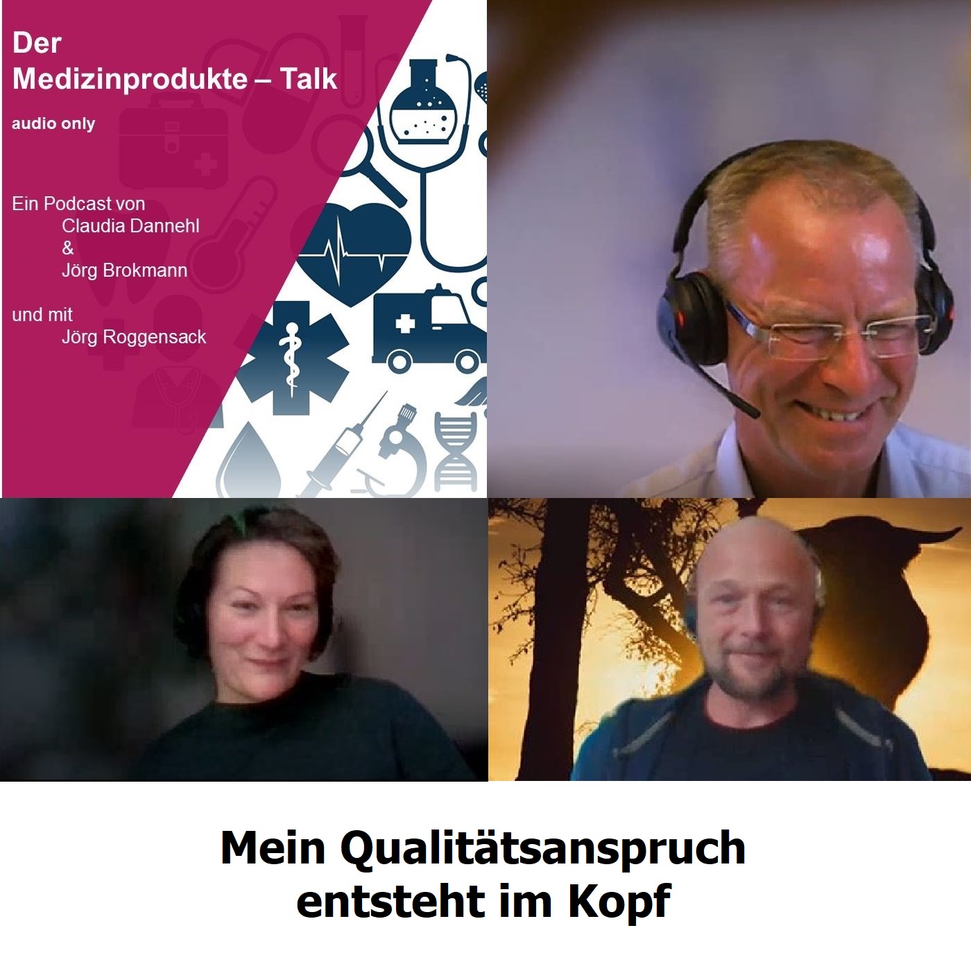 Der Medizinproduktetalk -audio only_
