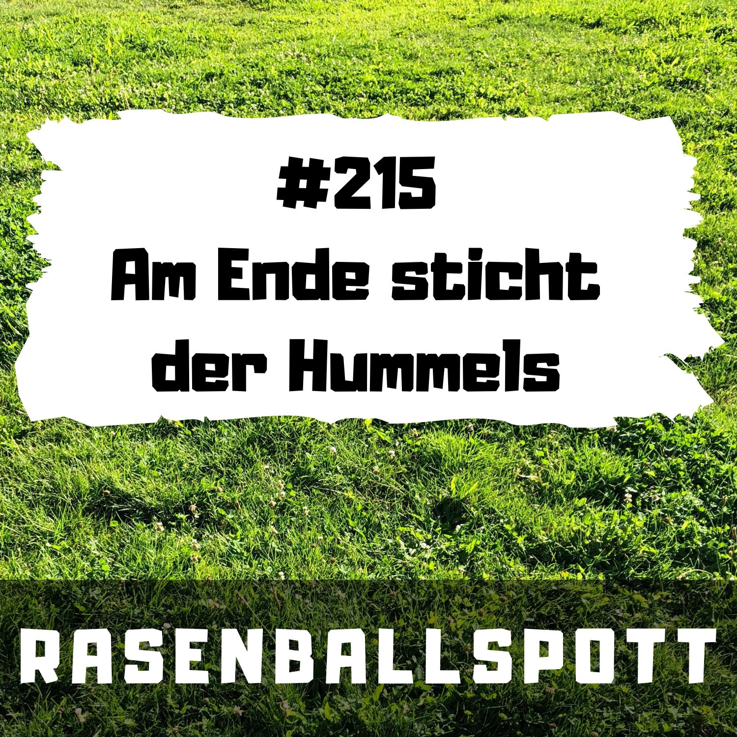 RASENBALLSPOTT