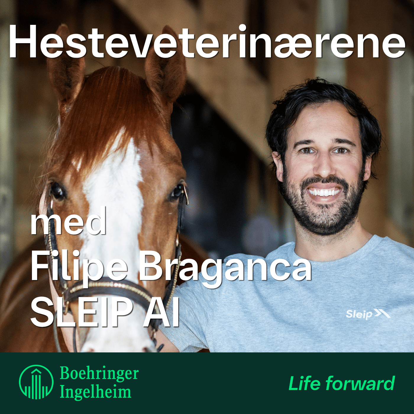 Hesteveterinærene