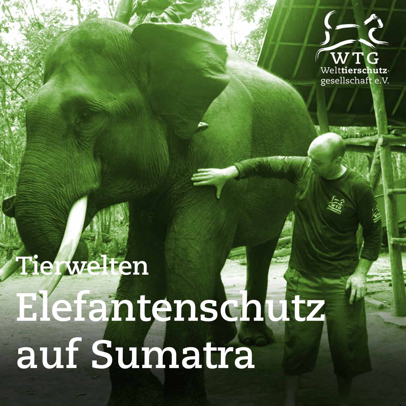 Tierwelten