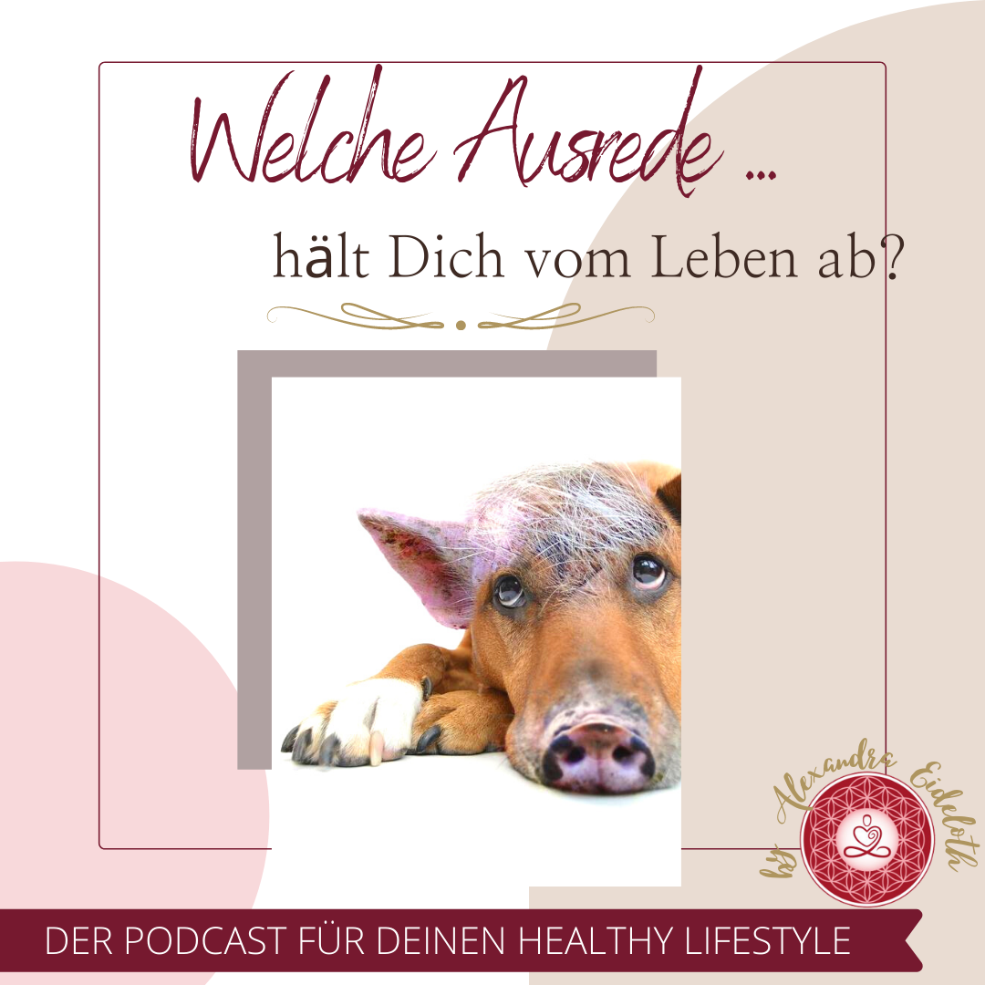 Deine Gesundheit ist Deine Entscheidung - Dein Podcast für Deinen Healthy Lifestyle!
