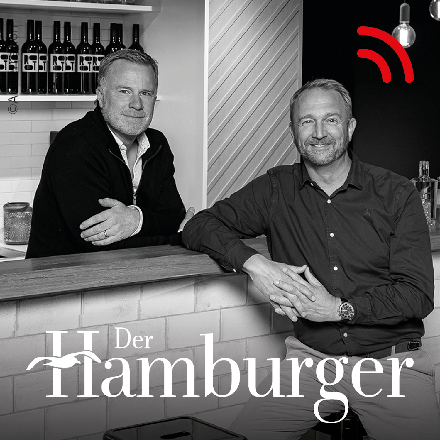 DER HAMBURGER Inside. Stimmen dieser Stadt